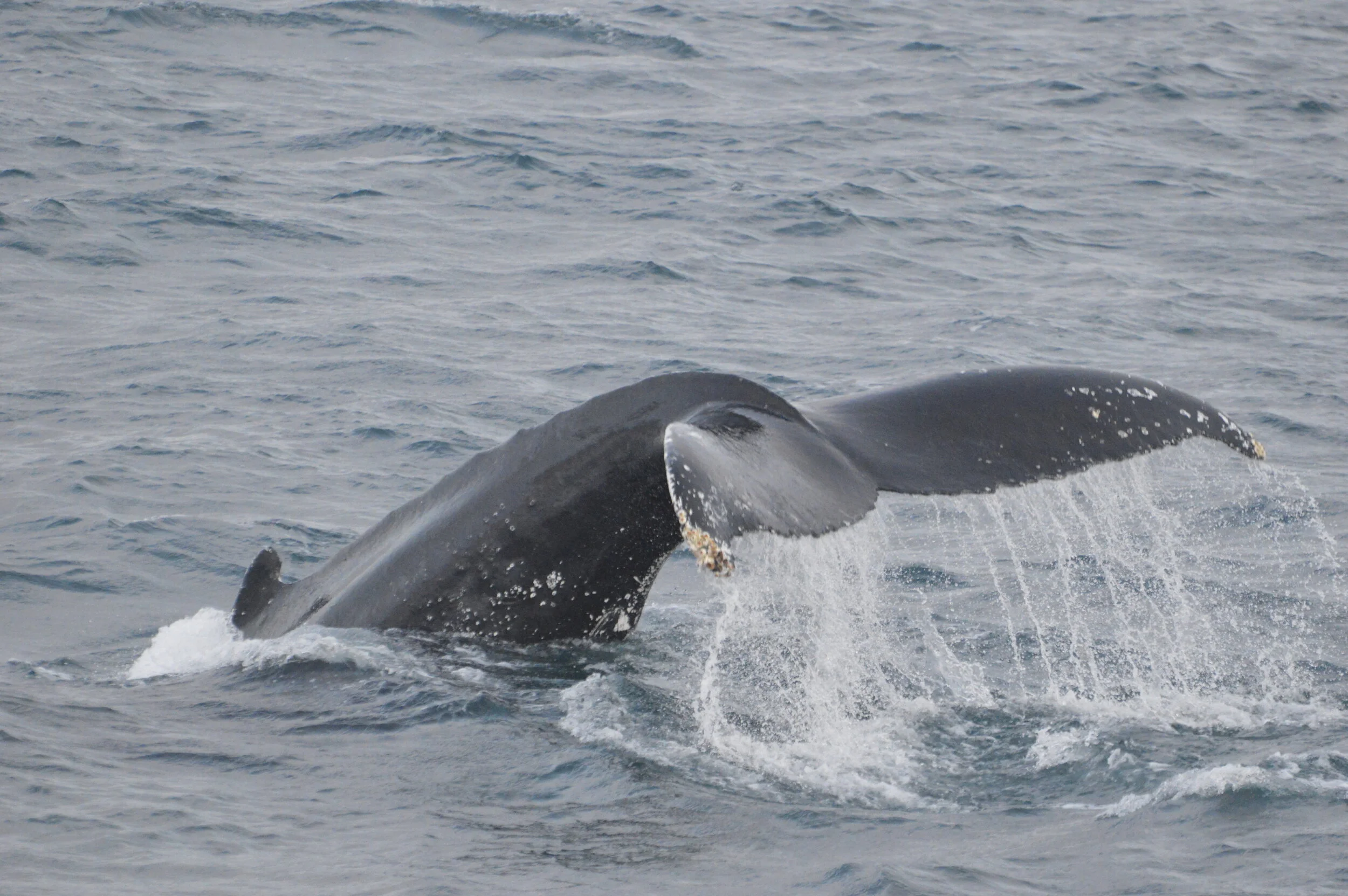 2019_11_29_1300_KON_ANIA (28).JPG