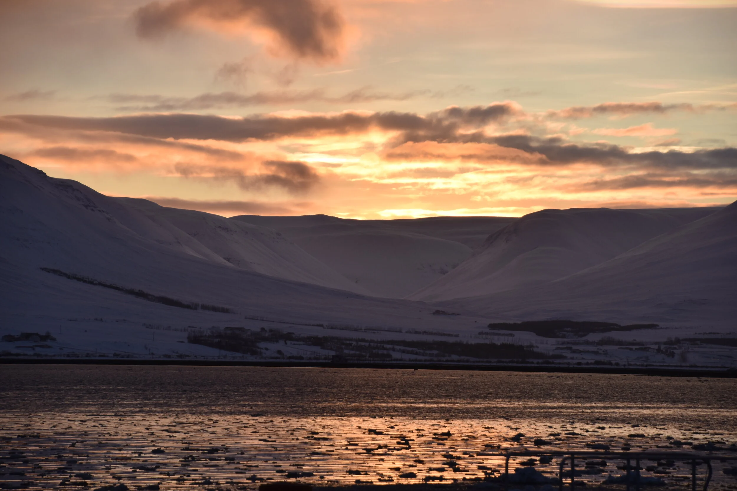 DSC_0014.JPG