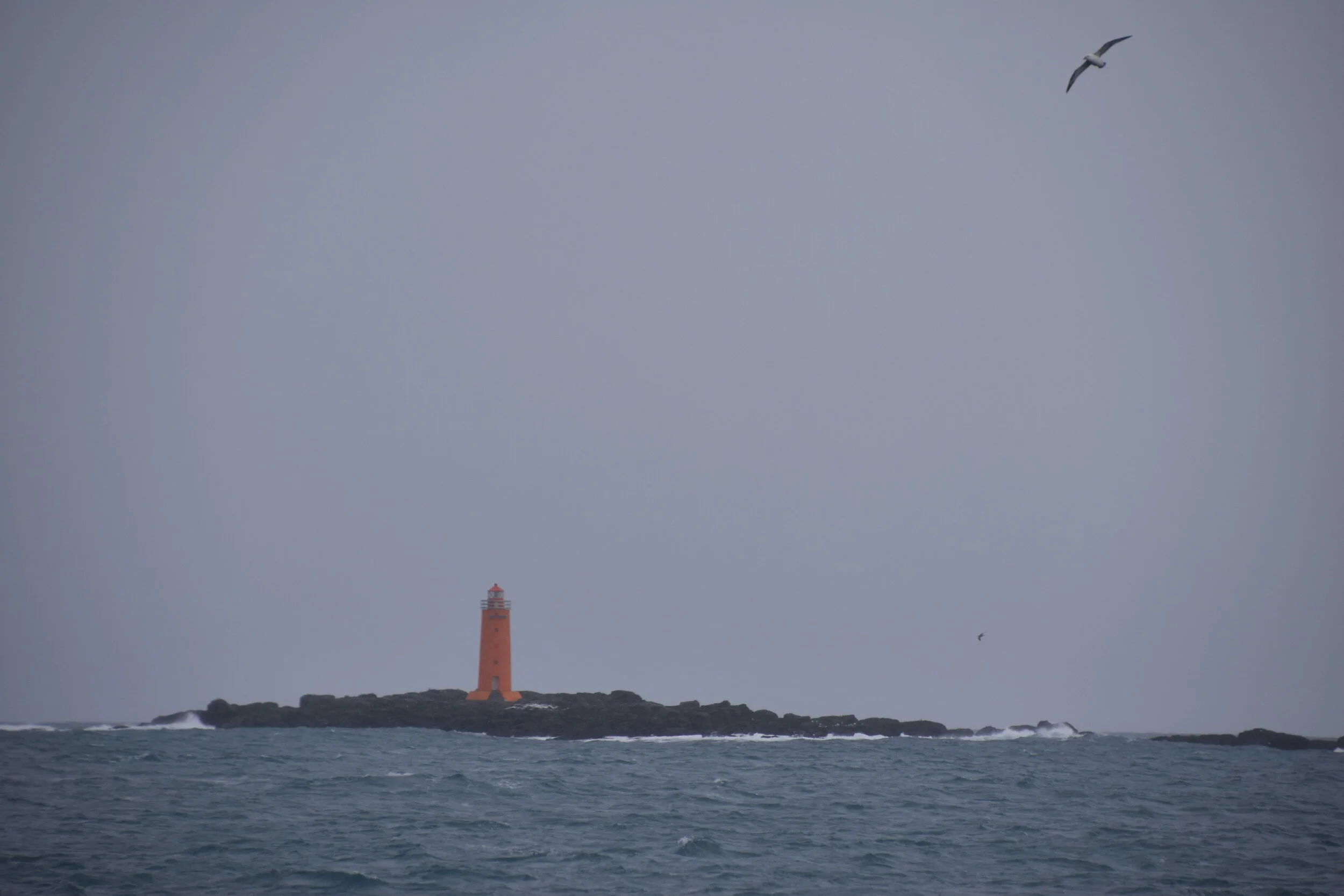 DSC_0319.JPG
