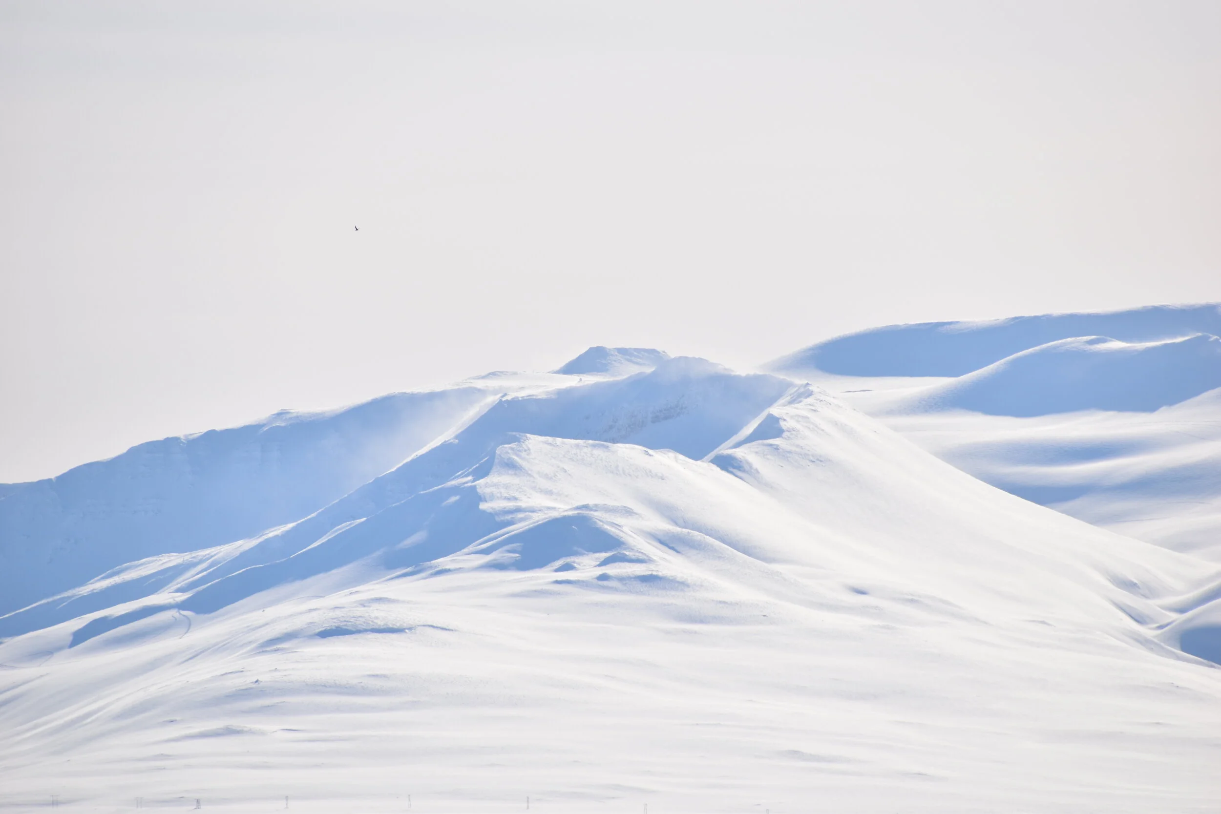 DSC_0060.JPG