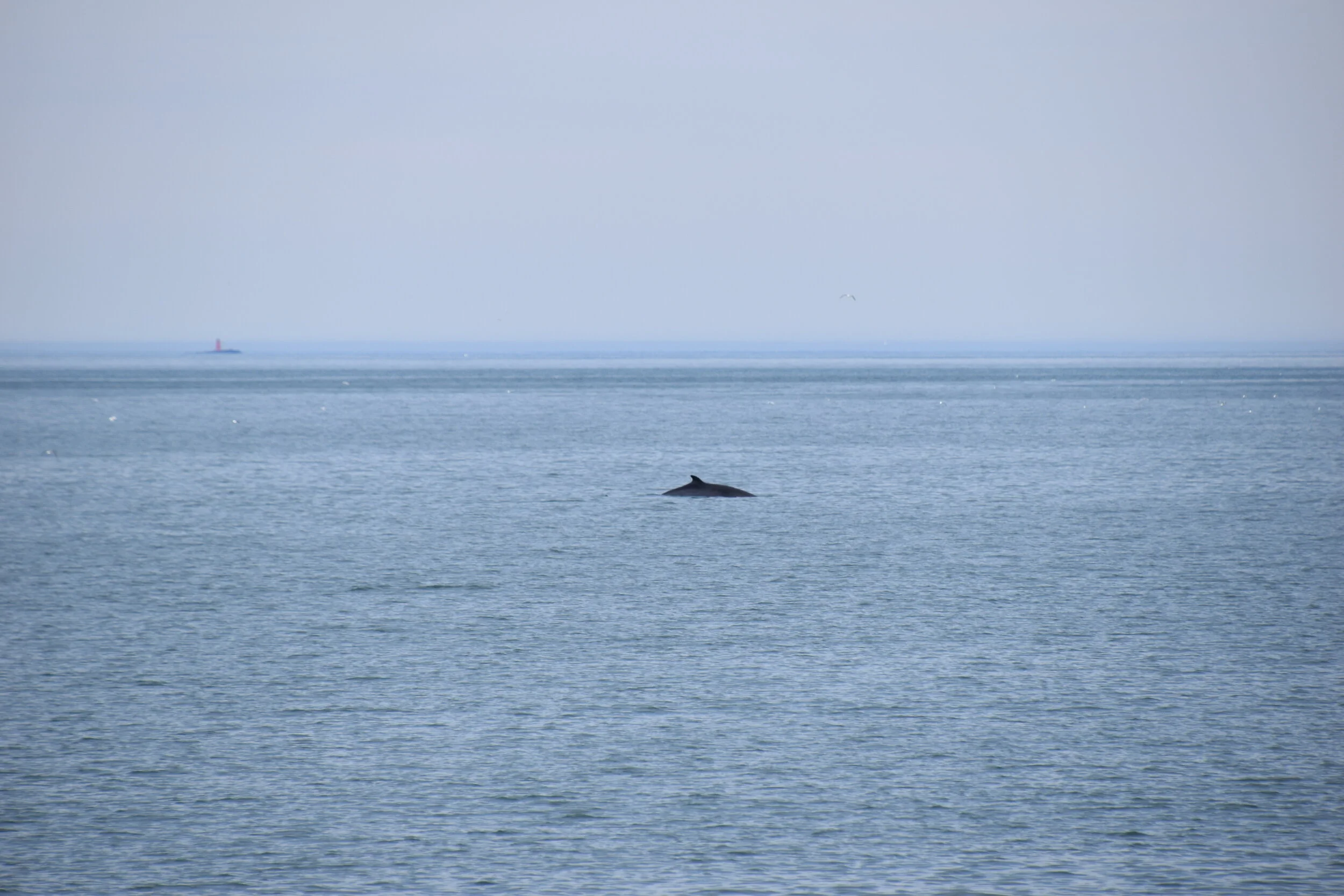 DSC_0098.JPG
