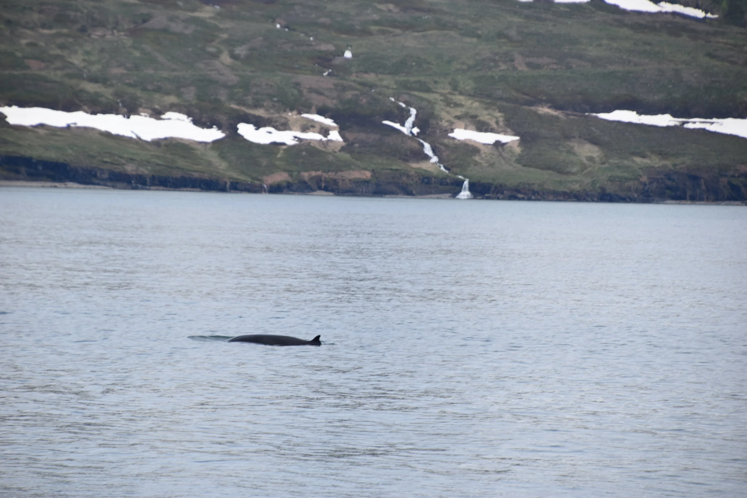 DSC_0134.JPG