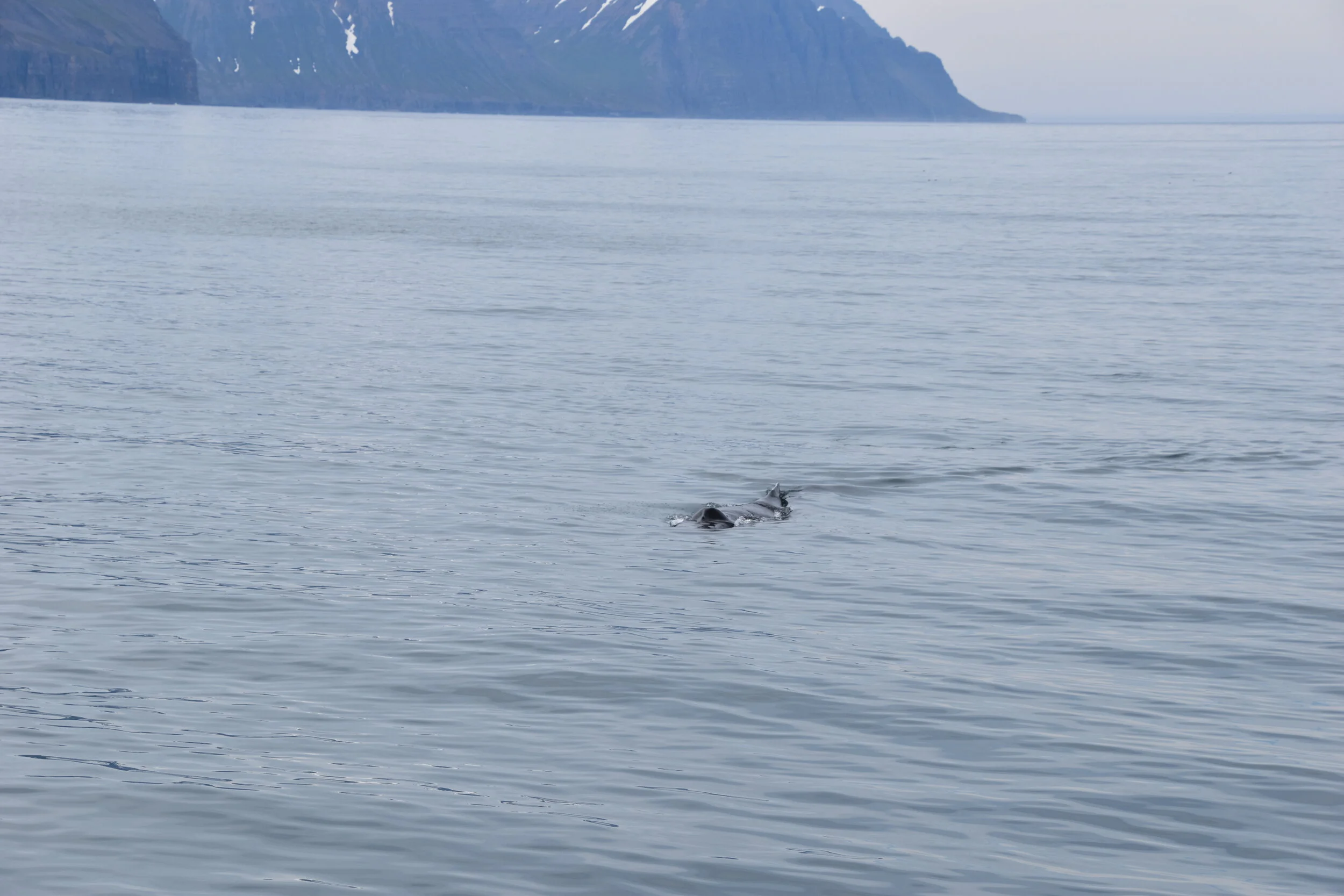 DSC_0154.JPG