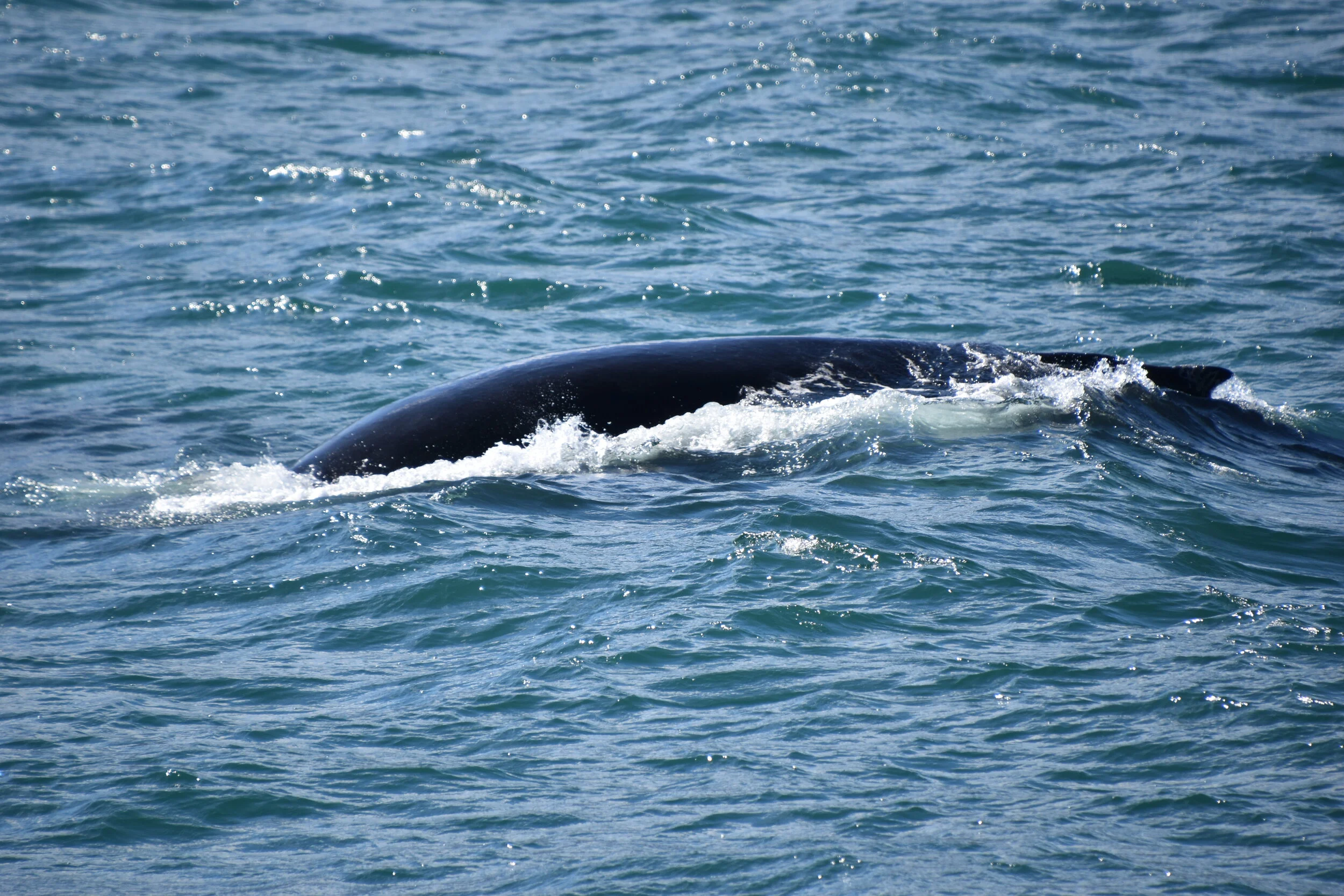 DSC_0570.JPG