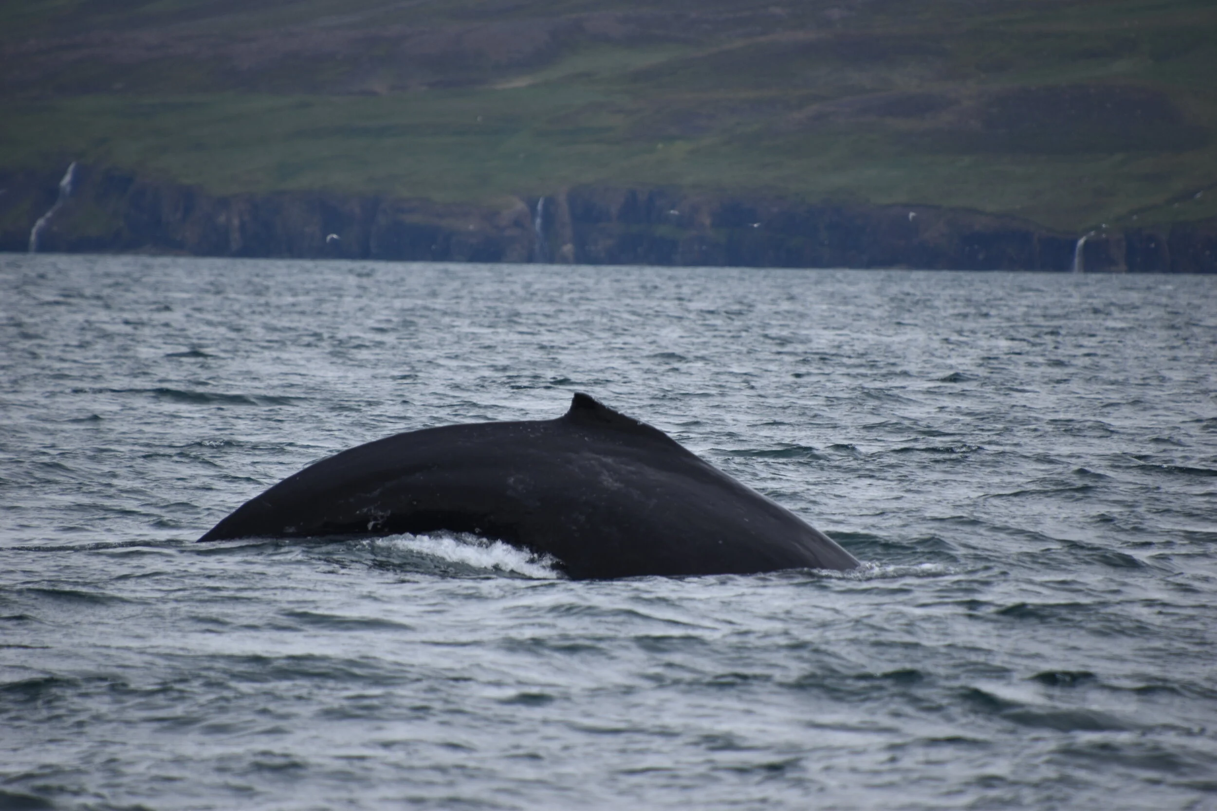 DSC_0066.JPG