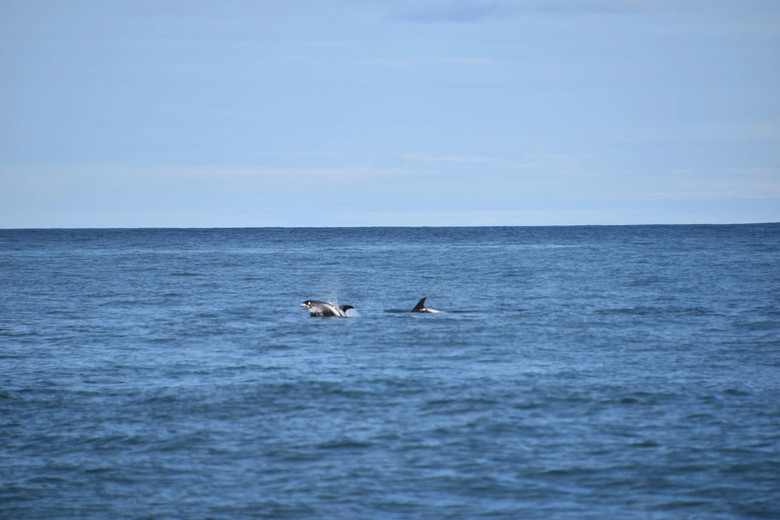 DSC_0292.JPG