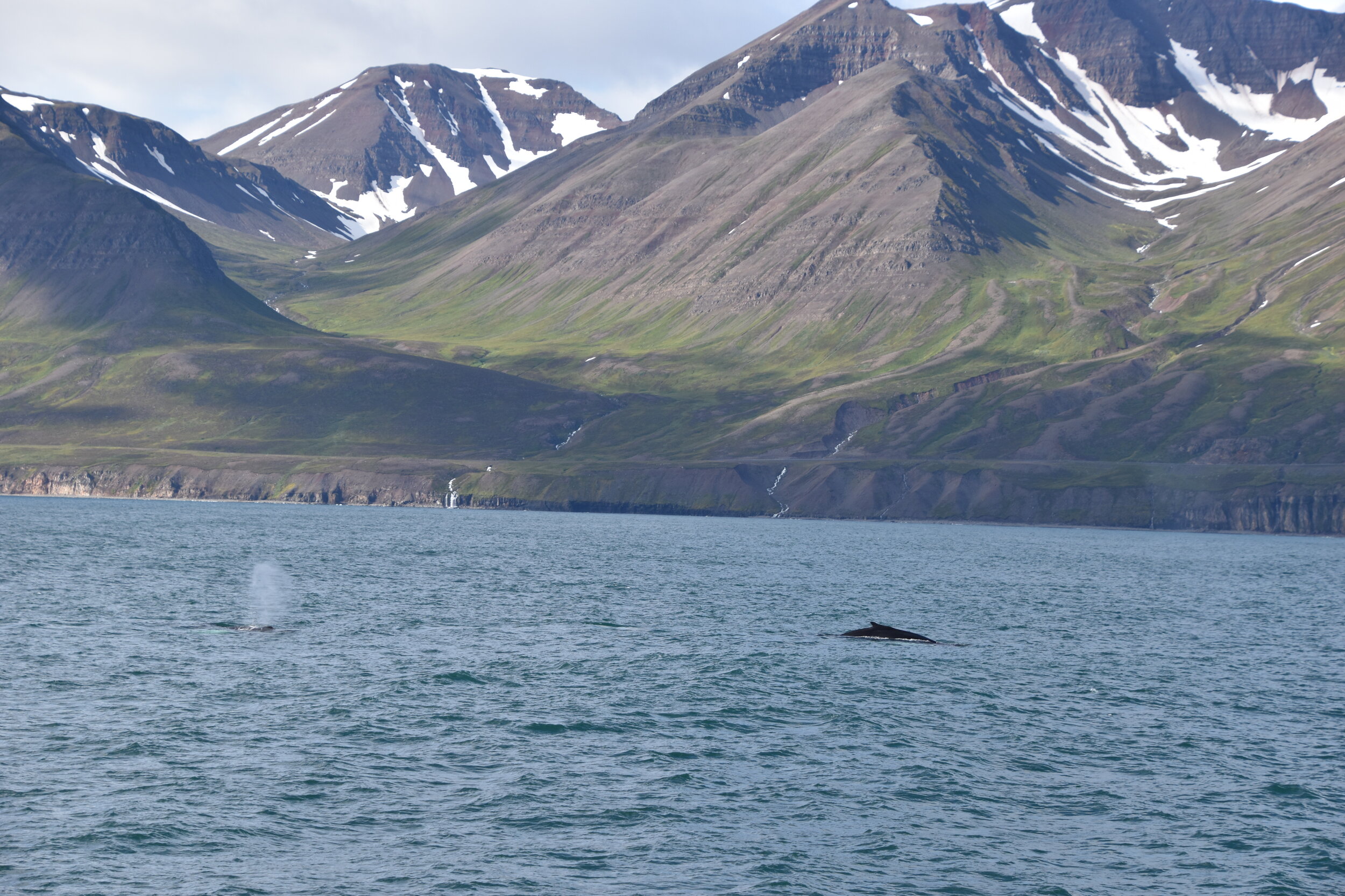 DSC_0081.JPG