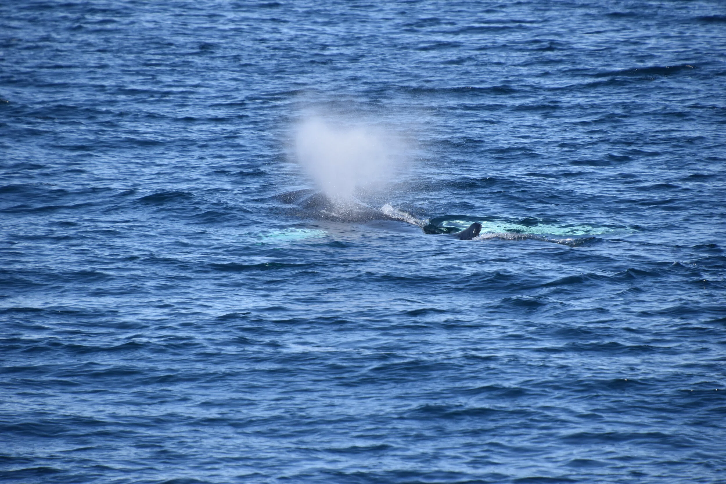 DSC_0097.JPG