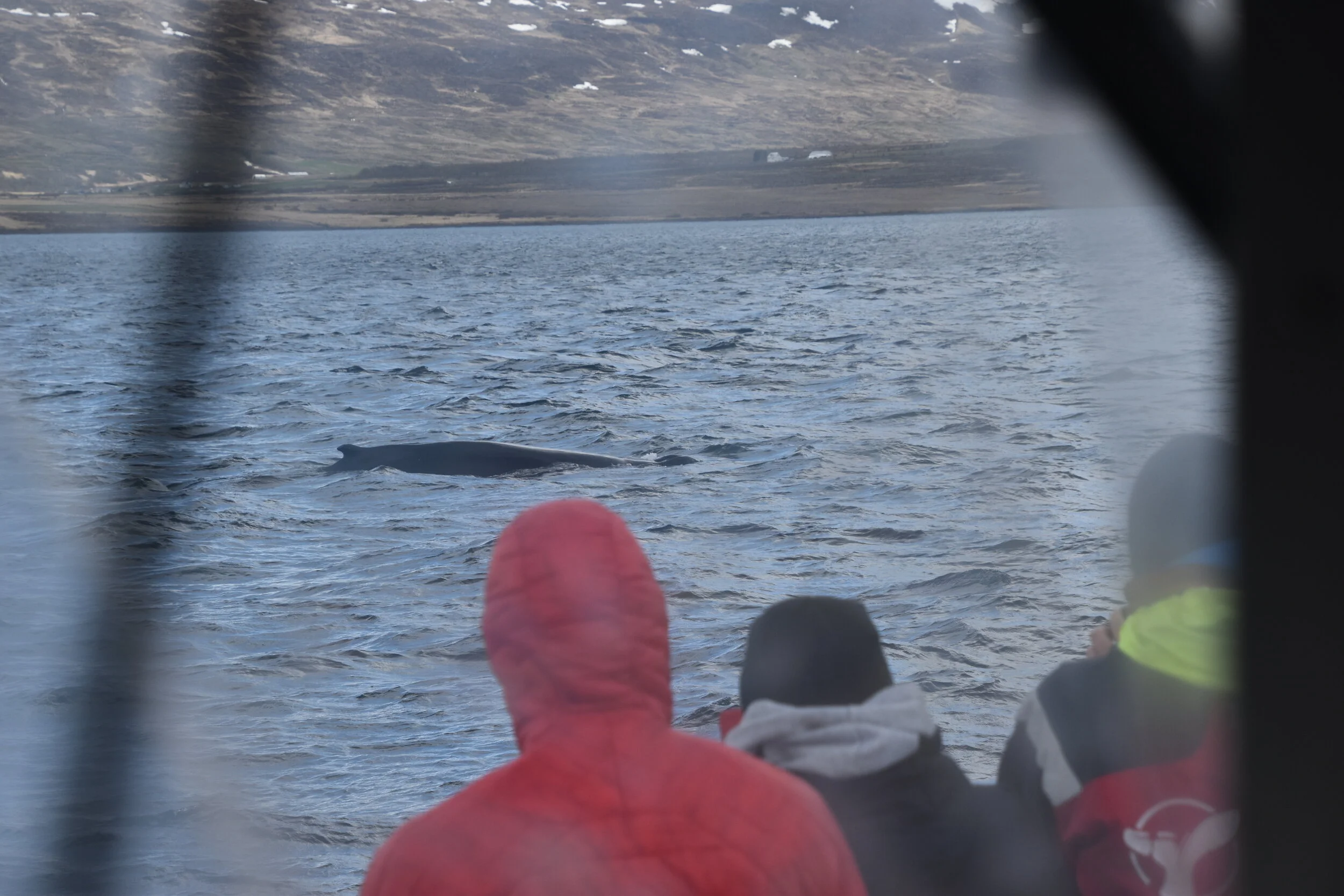 DSC_0573.JPG