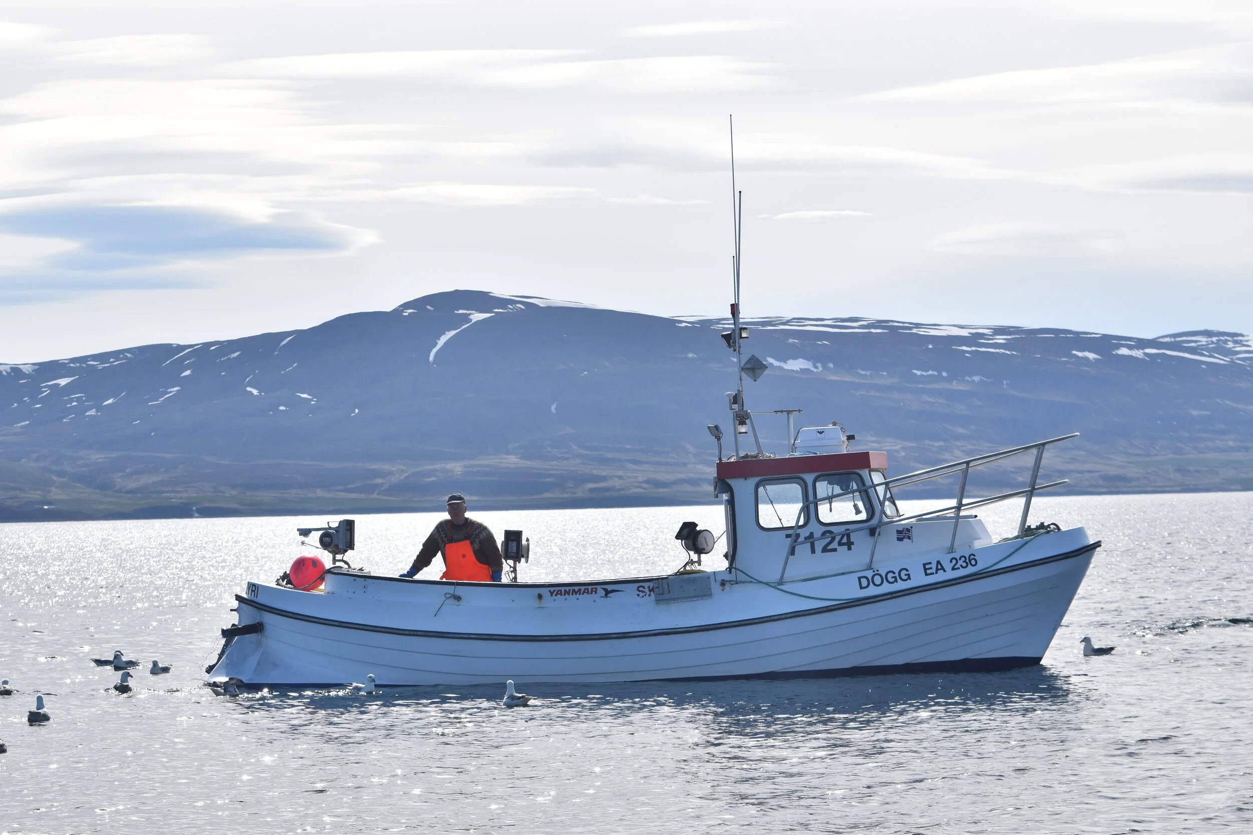 DSC_0012.JPG