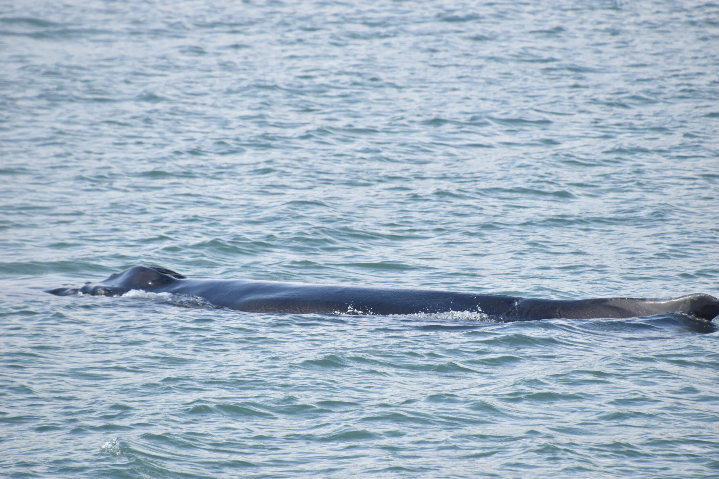 DSC_0076.JPG