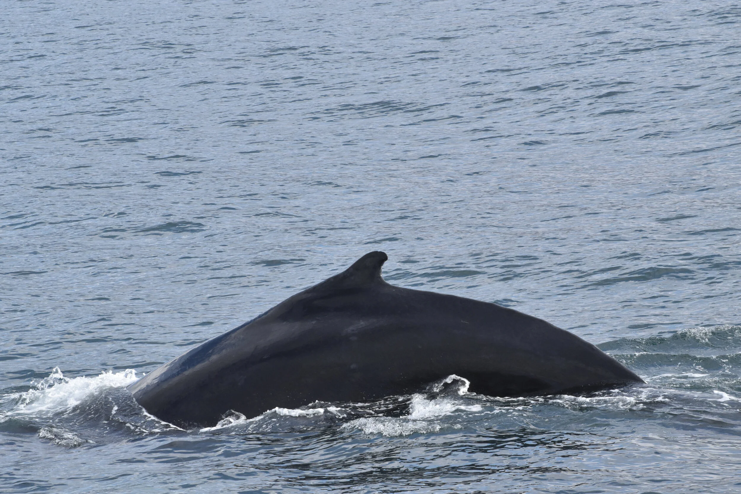 2021_09_19_1300_KON_TESS  (37).JPG