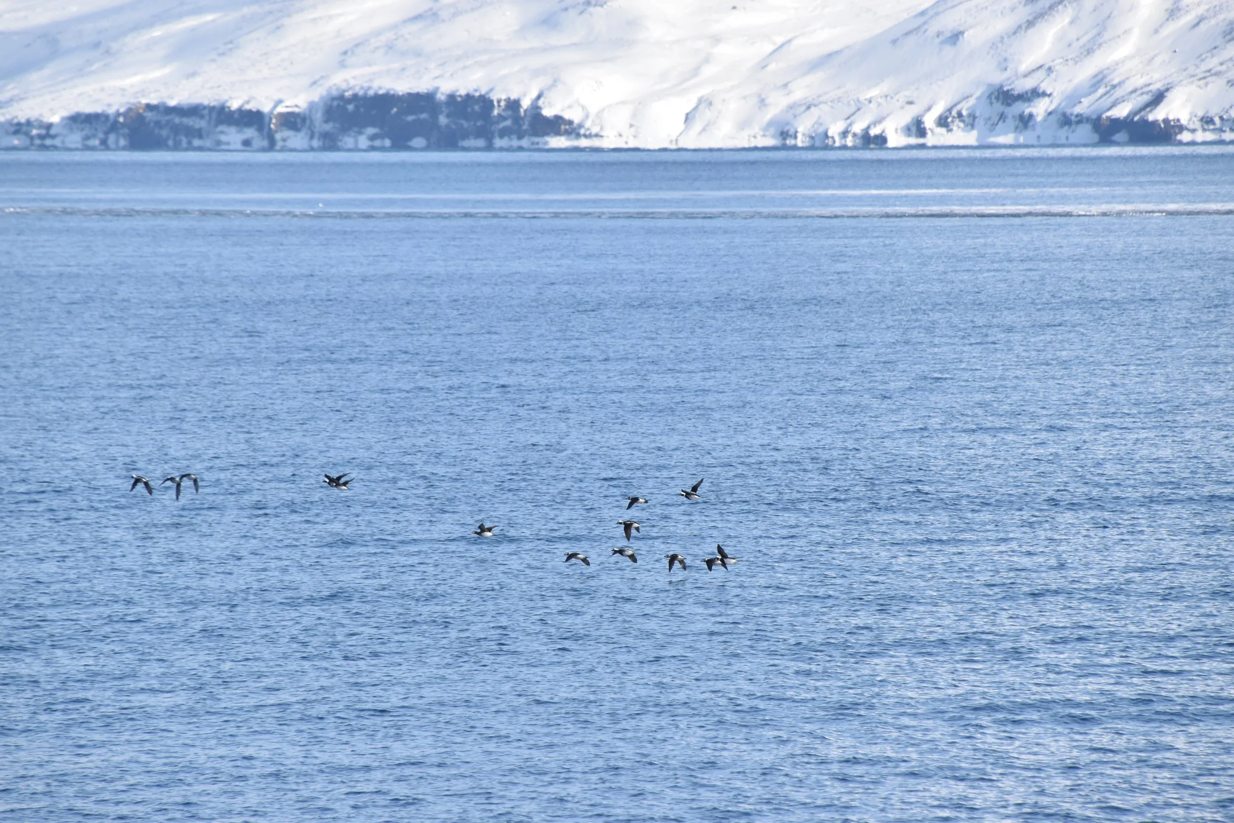 DSC_0007.JPG