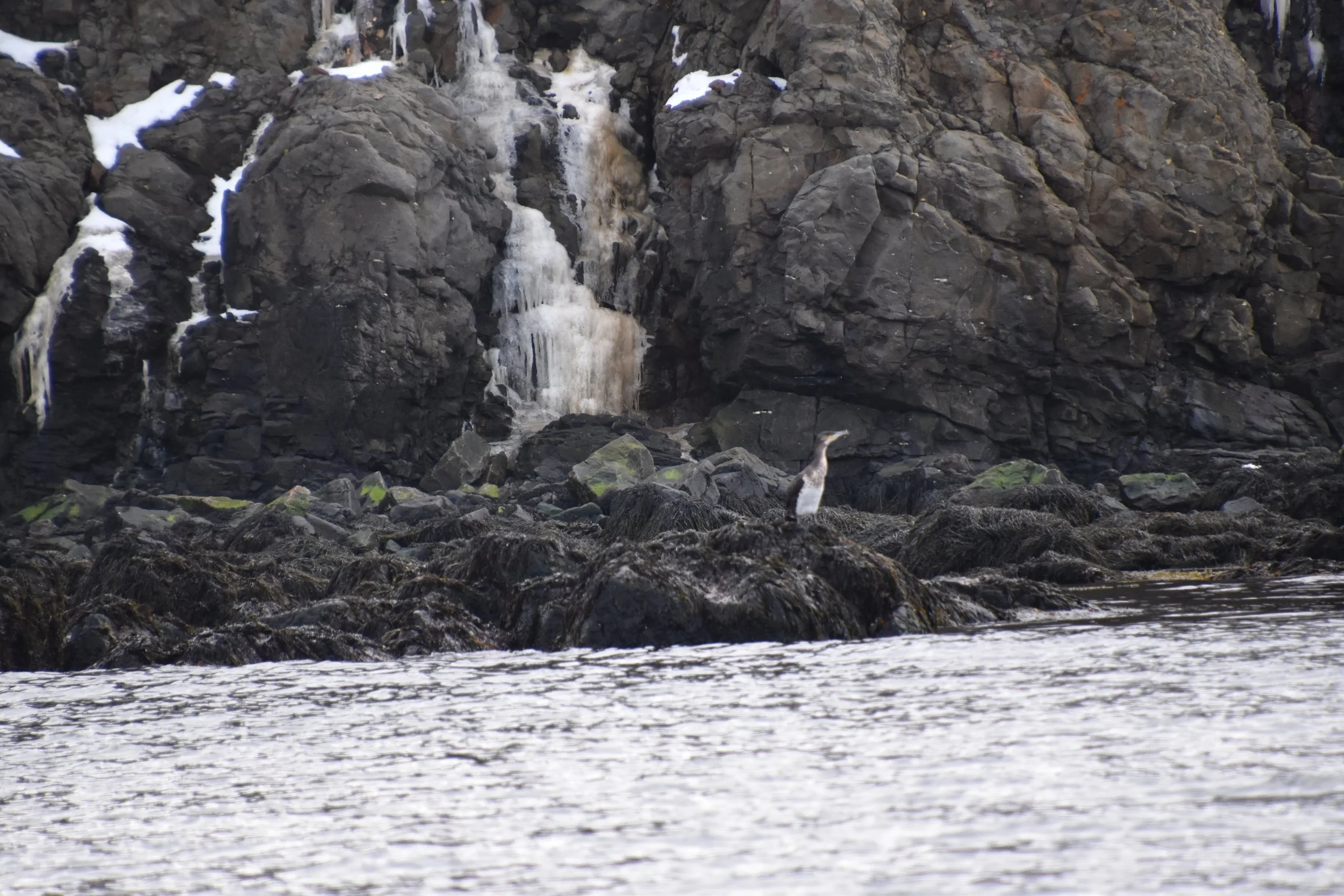 DSC_0068.JPG