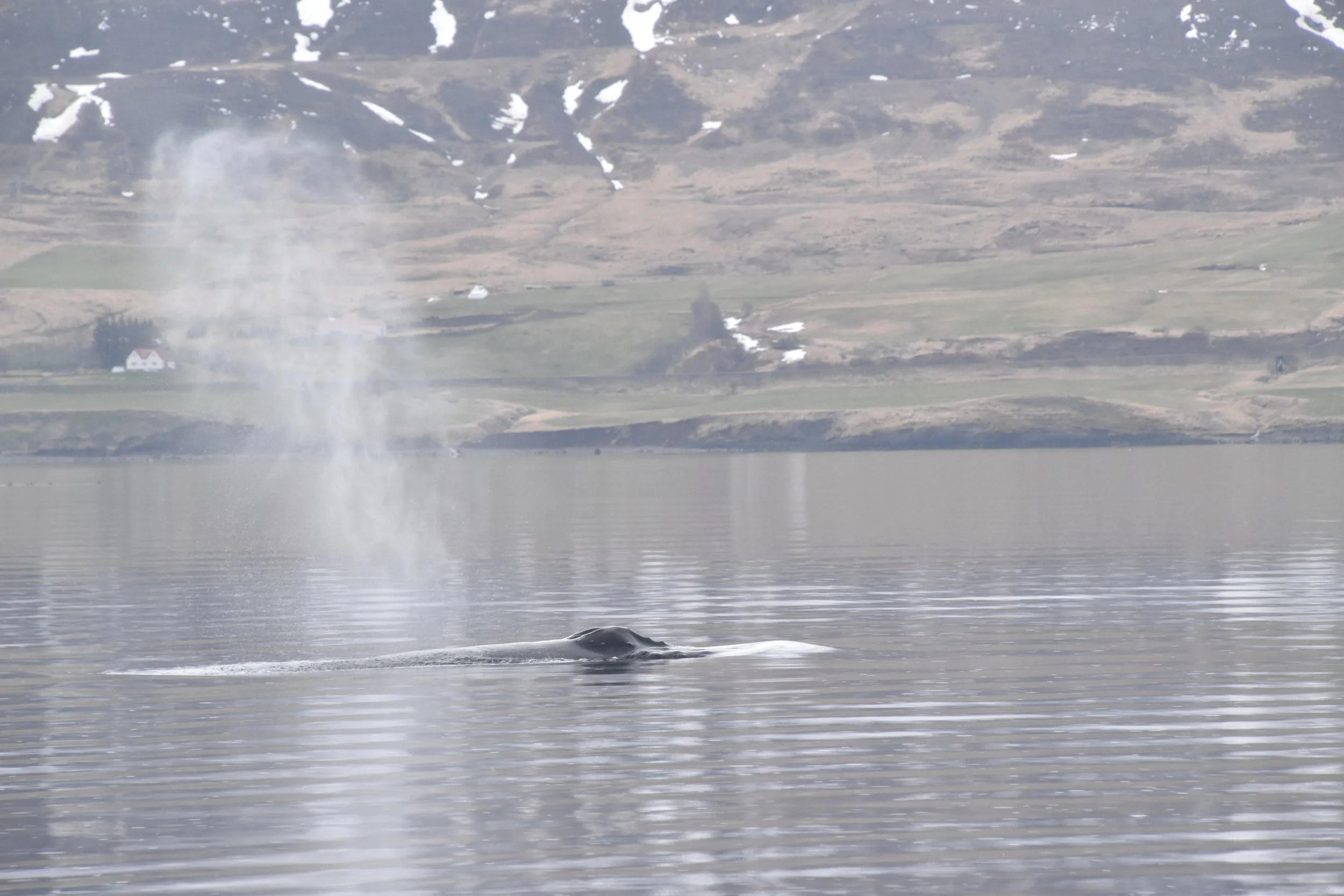 2022_05_08_1300_RIB_GISELA (54).JPG