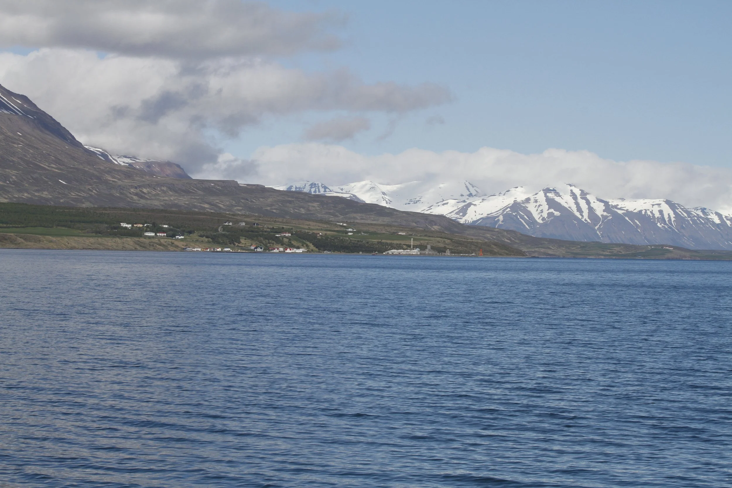 _MG_2517.JPG