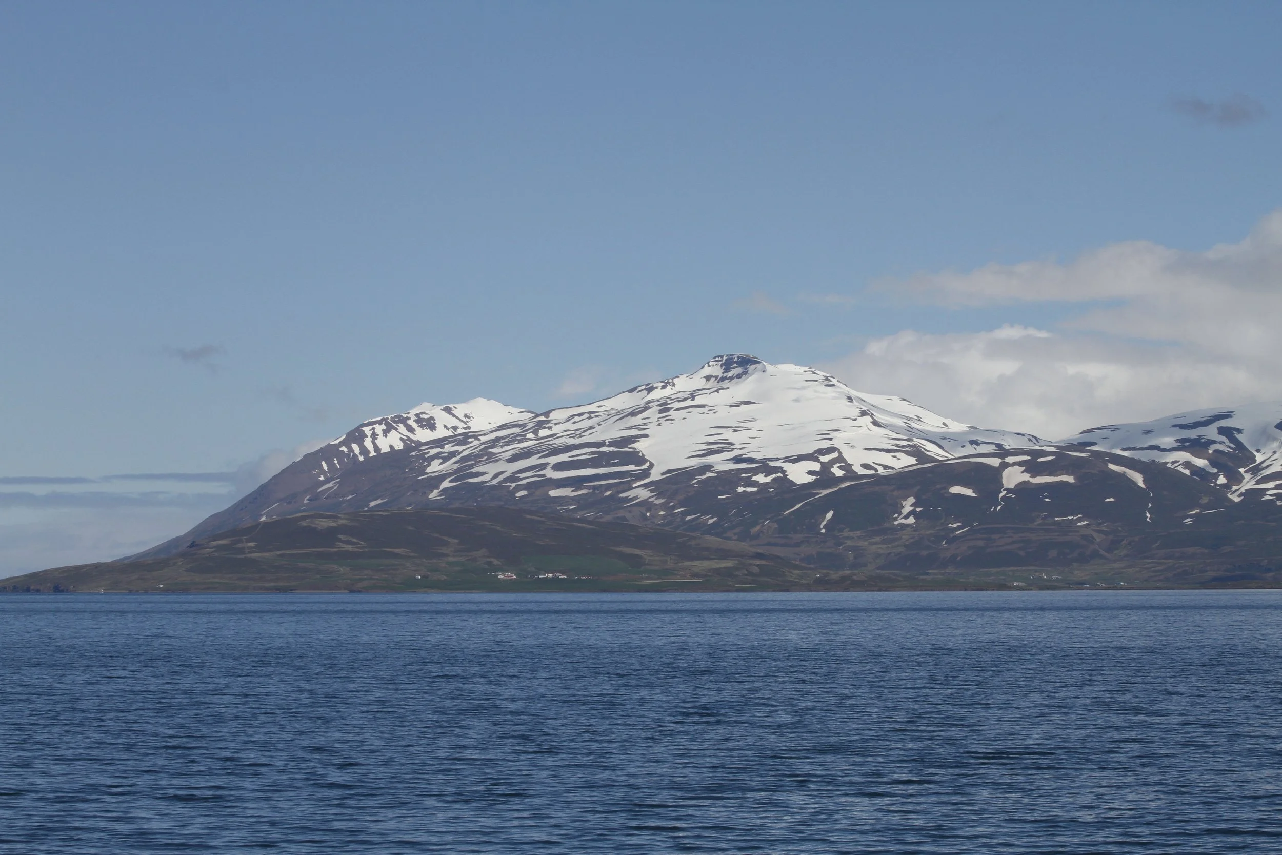 _MG_2516.JPG
