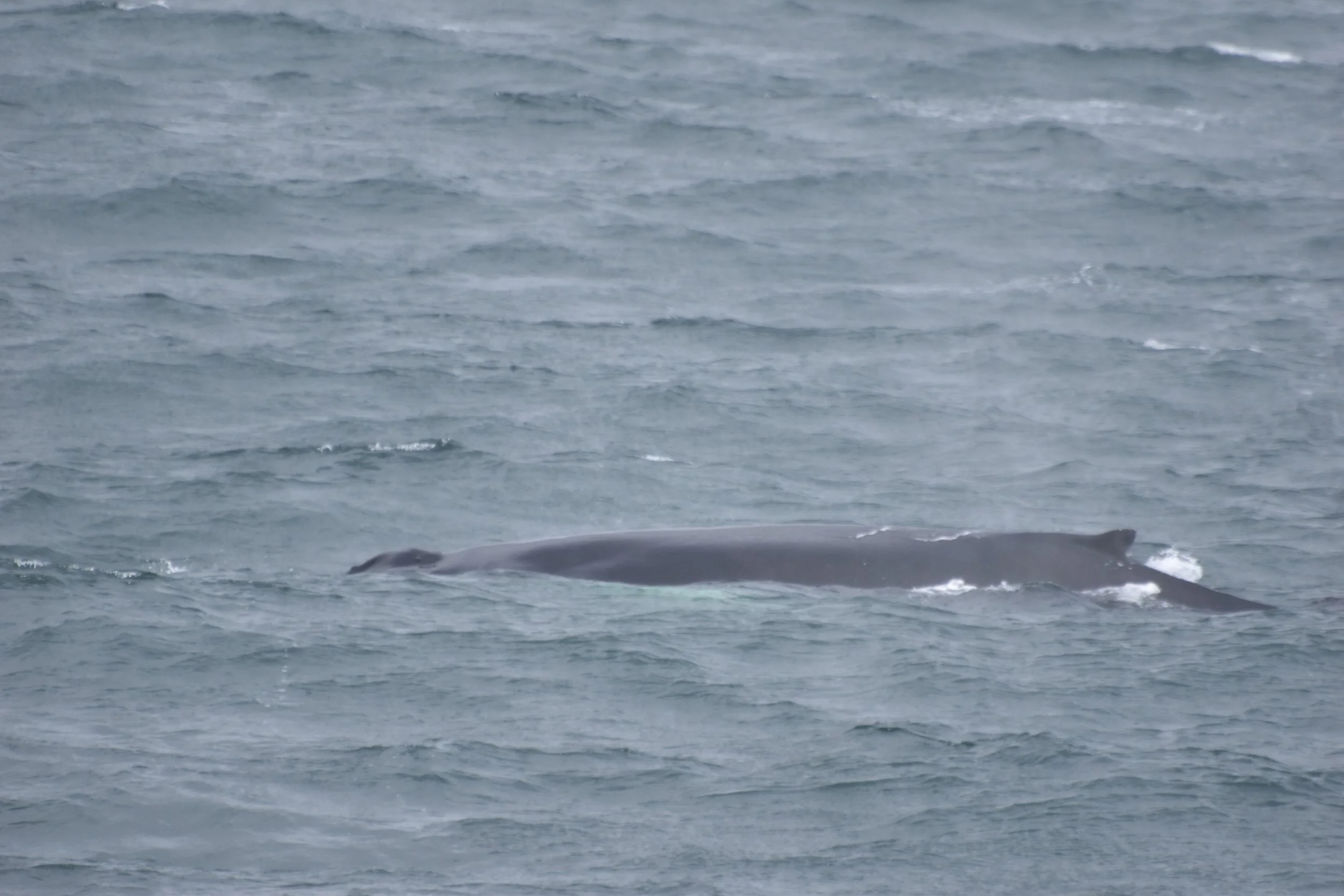 2022_08_01_0900_HOL_JITKA (7).JPG