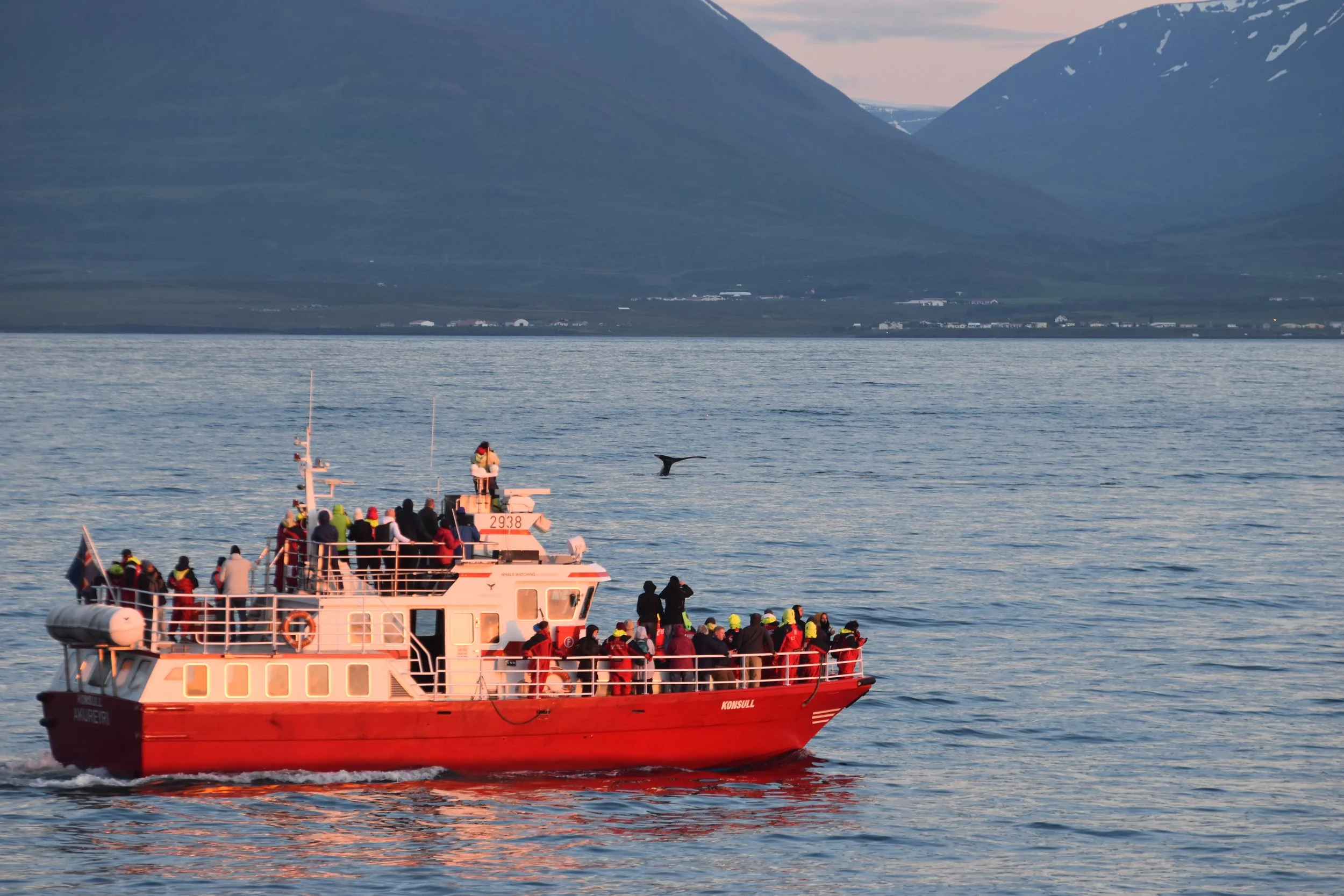 2022_08_04_1945_HOL_Pete (92).JPG