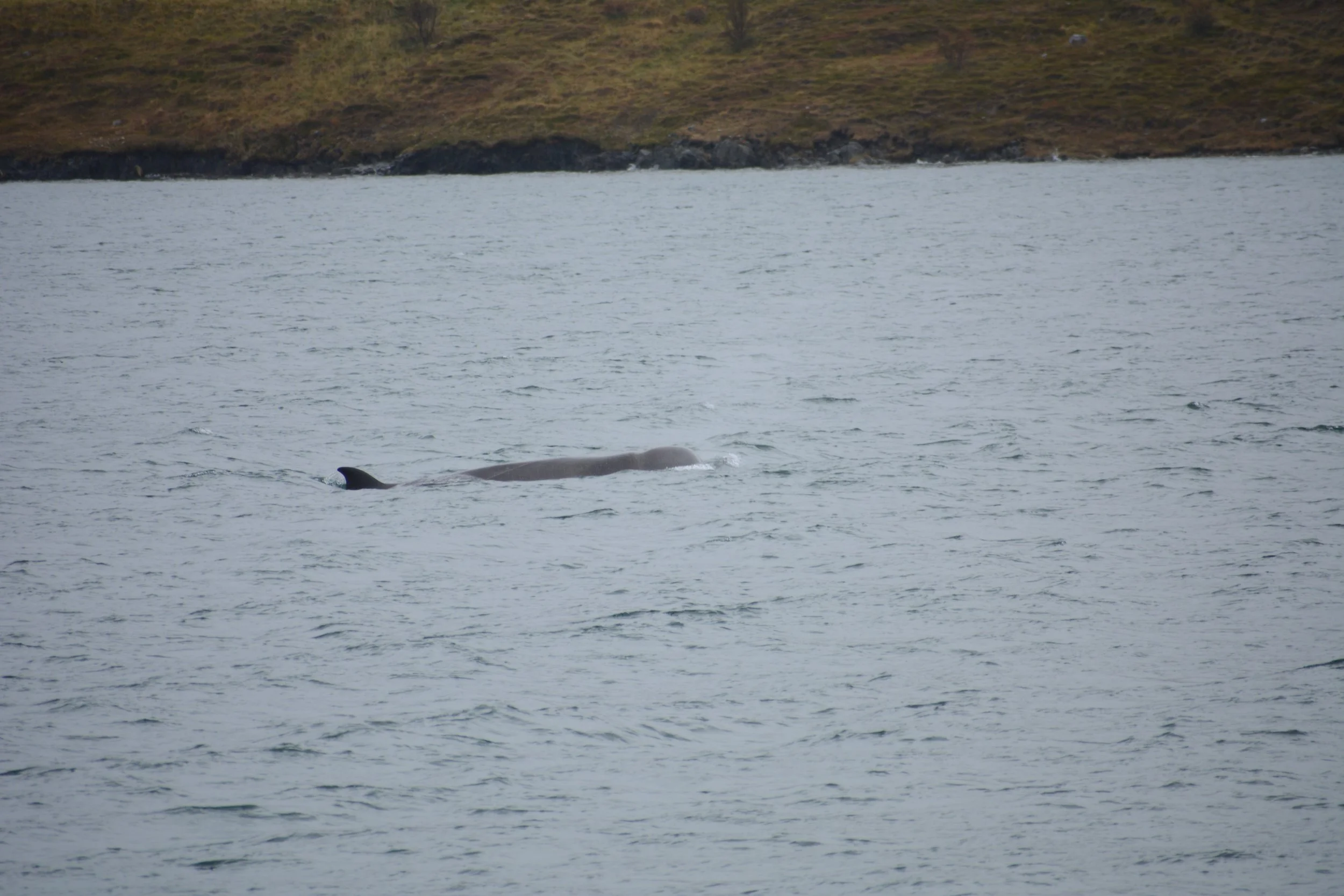 DSC_8697.JPG