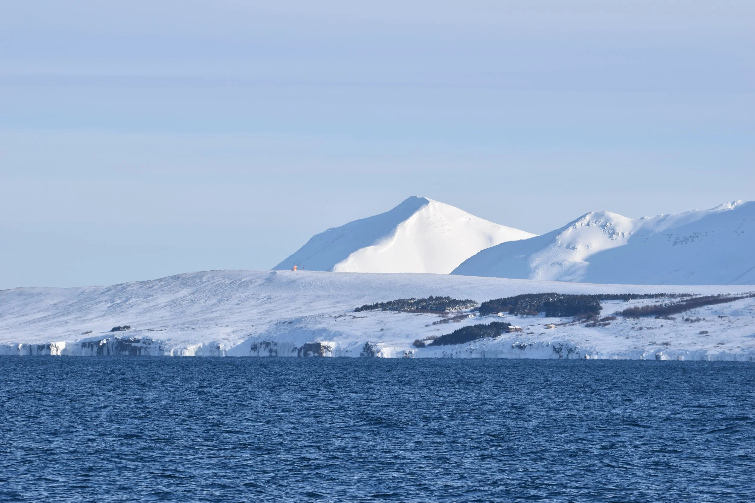 DSC_0005.JPG