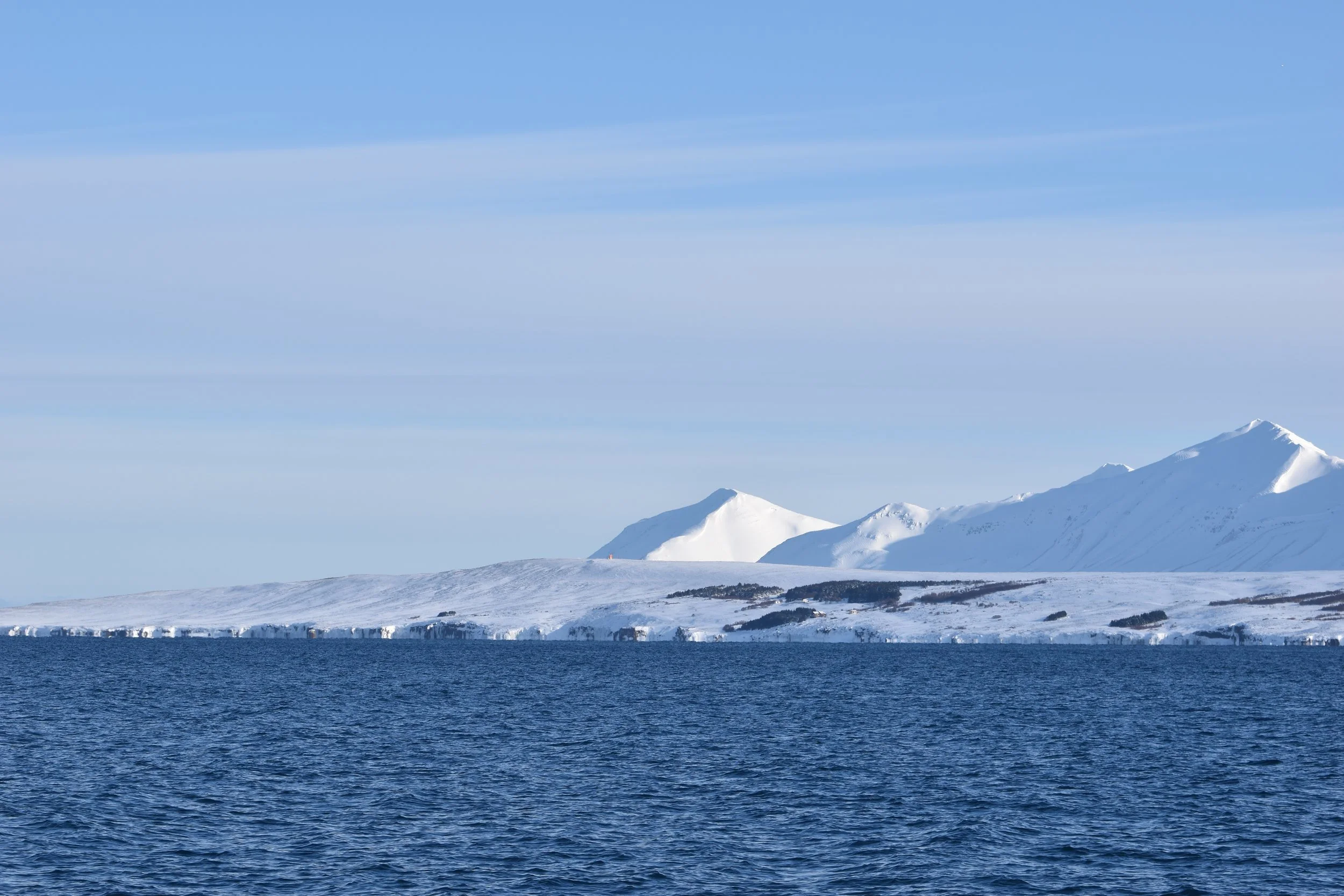 DSC_0004.JPG