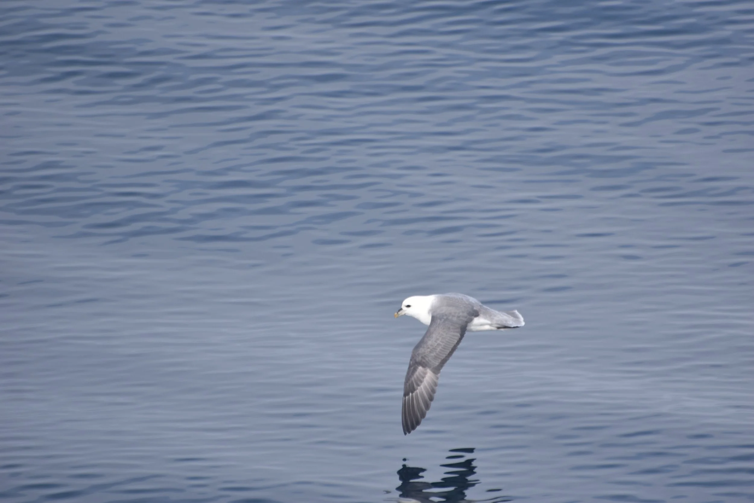 DSC_0018.JPG