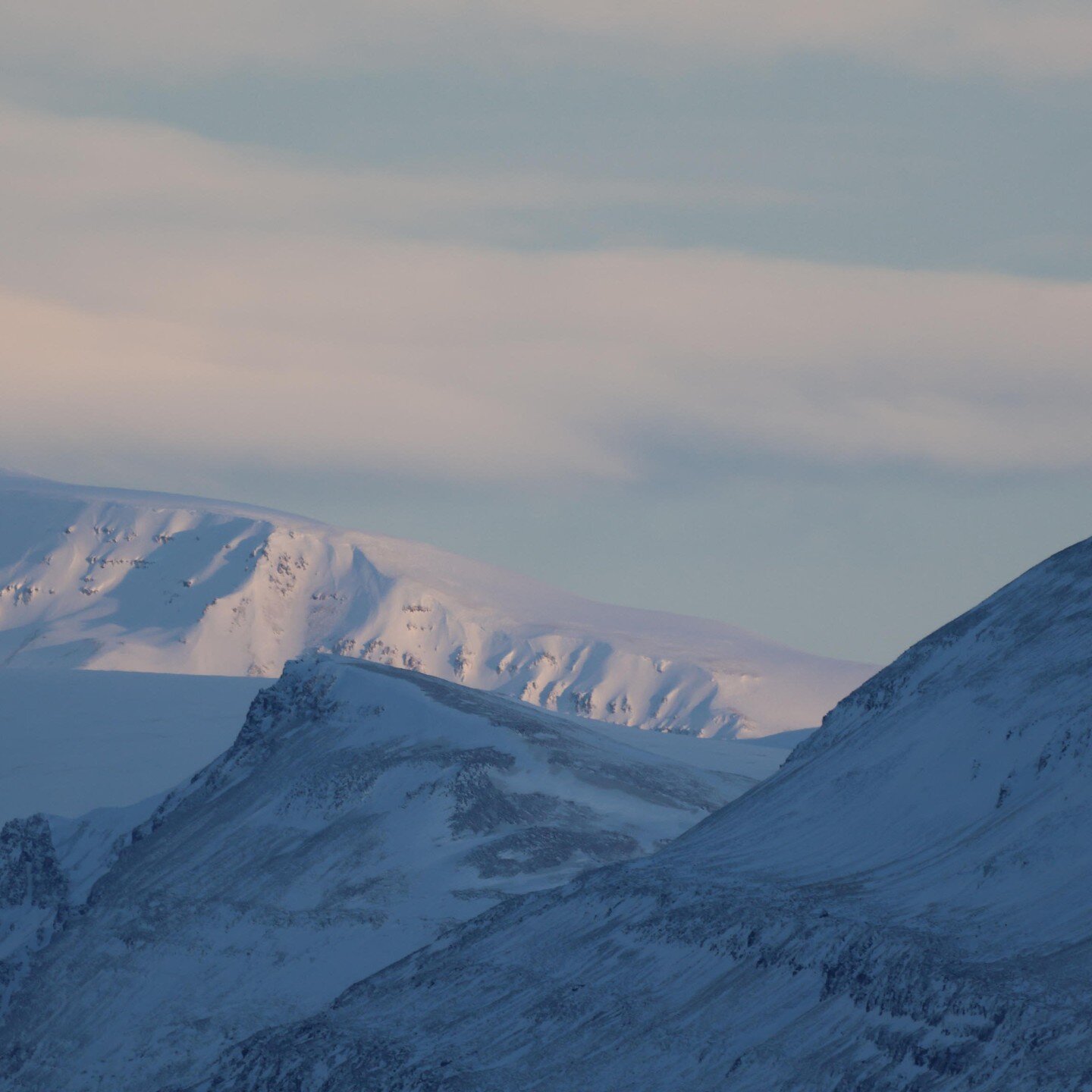 It is truly unforgettable experience watching Humpback whales preparing to dive hundreds of meters below the surface in the stunning surroundings of our Eyjafjordur. 

#iceland #icelandicnature #icelandicwildlife #icelandicphotography #photography #n