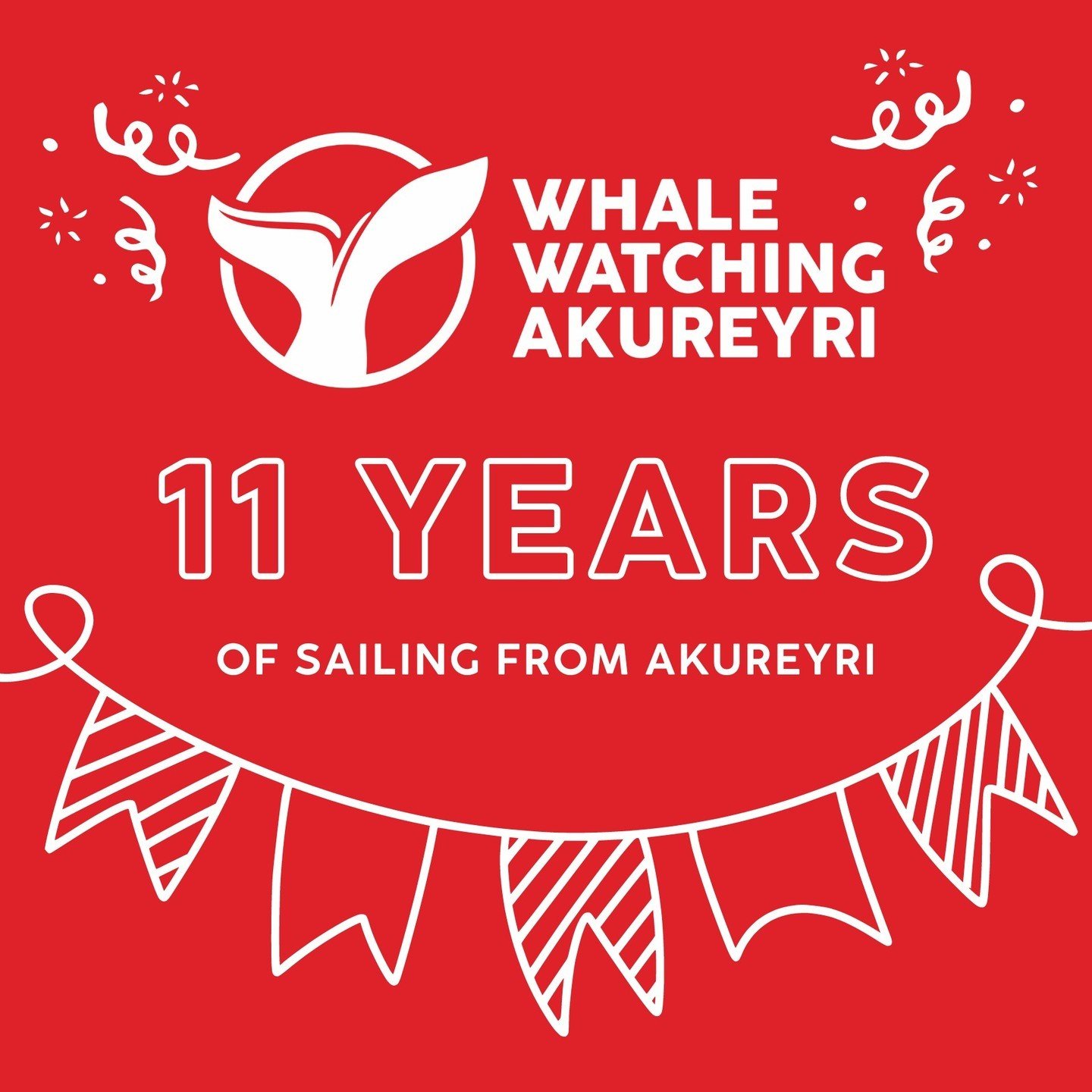 11 years ago on 15th of May 2013 our boat Ambassador has sailed out for the first time in Eyjafjordur! Since then we have encountered variety of species of whales, made some fascinating discoveries, recognized over 500 Humpback whales in the area and