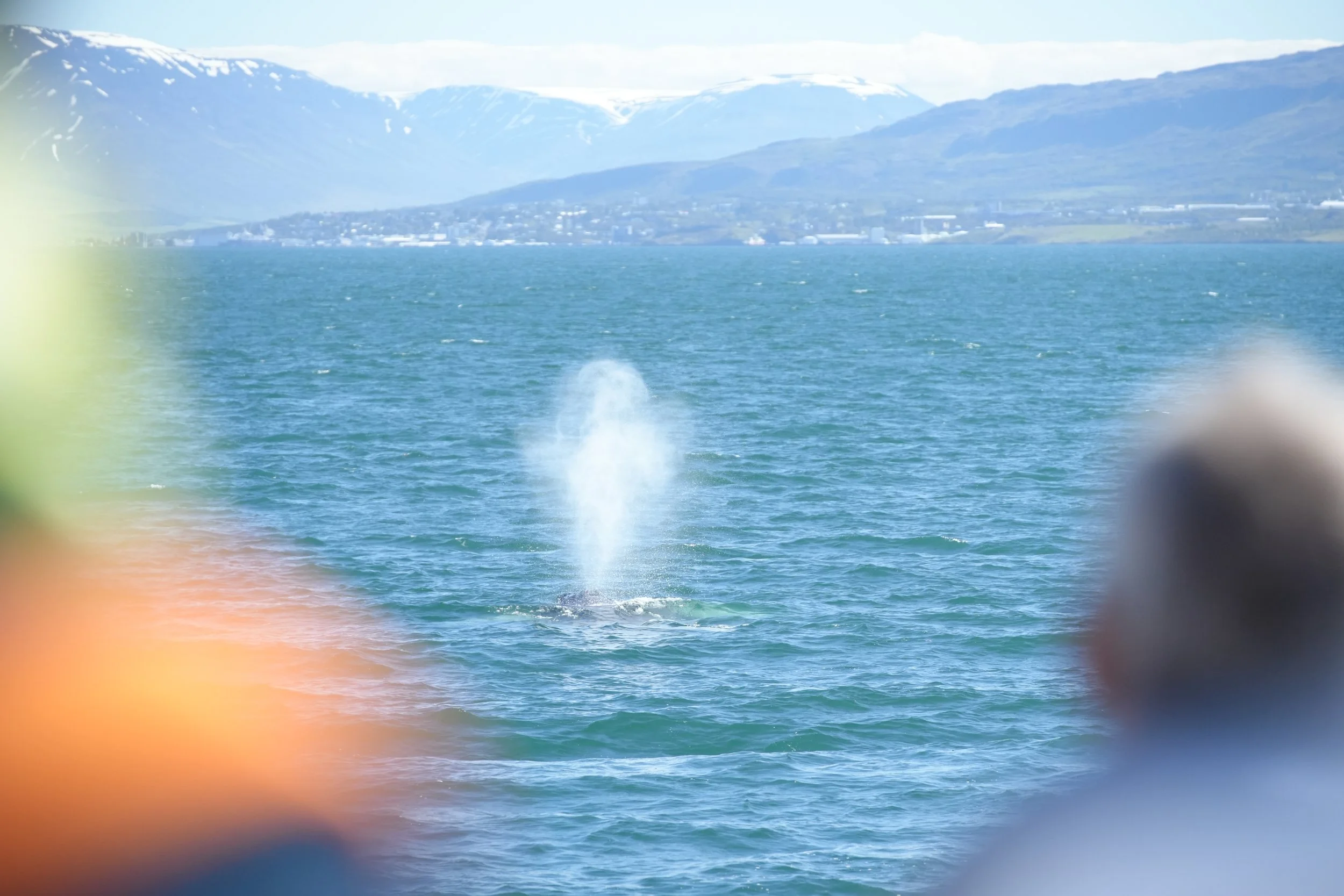 2024_07_08_1400_HOL_DAVID (255).JPG