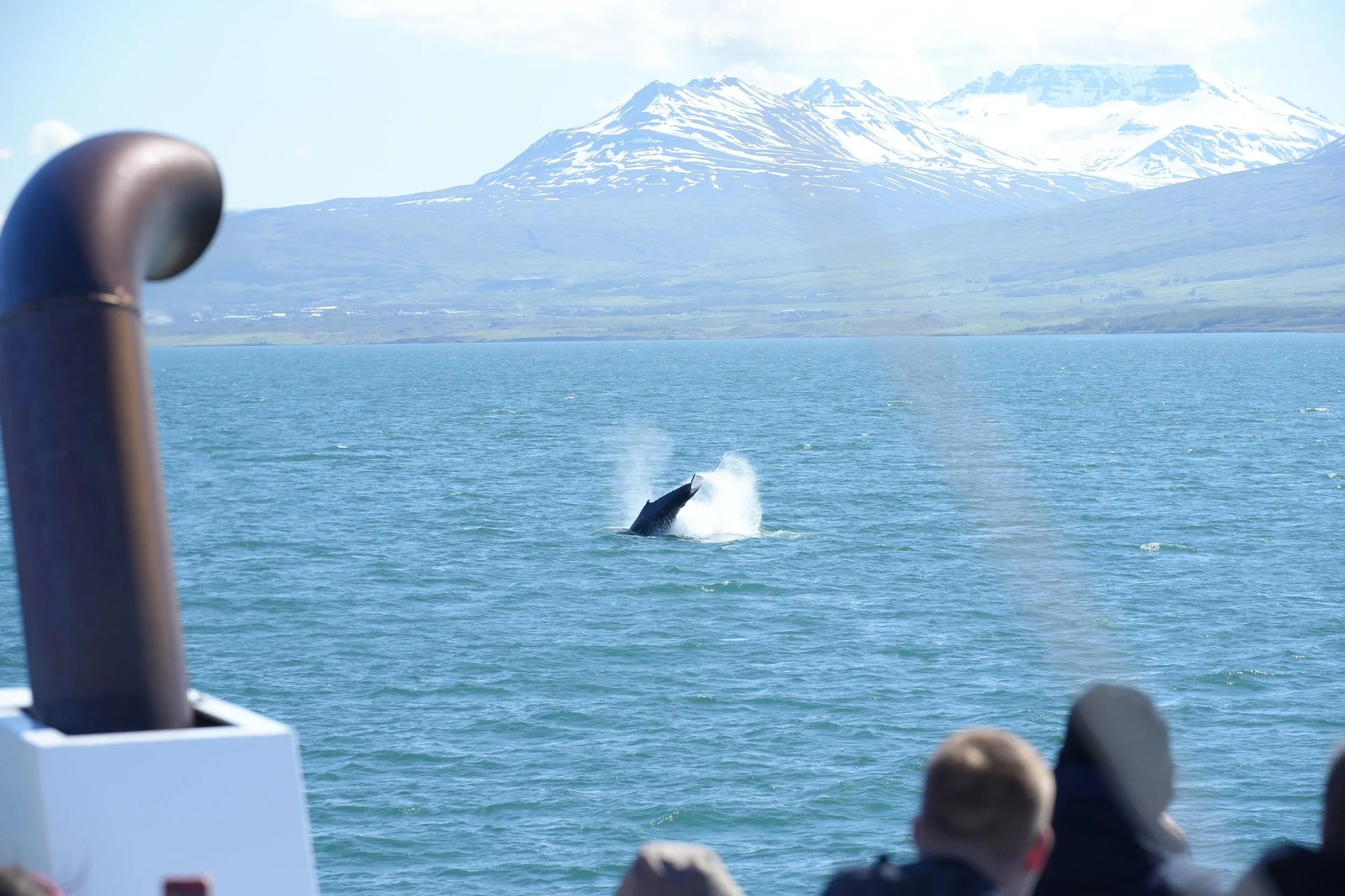 2024_07_08_1400_HOL_DAVID (101).JPG