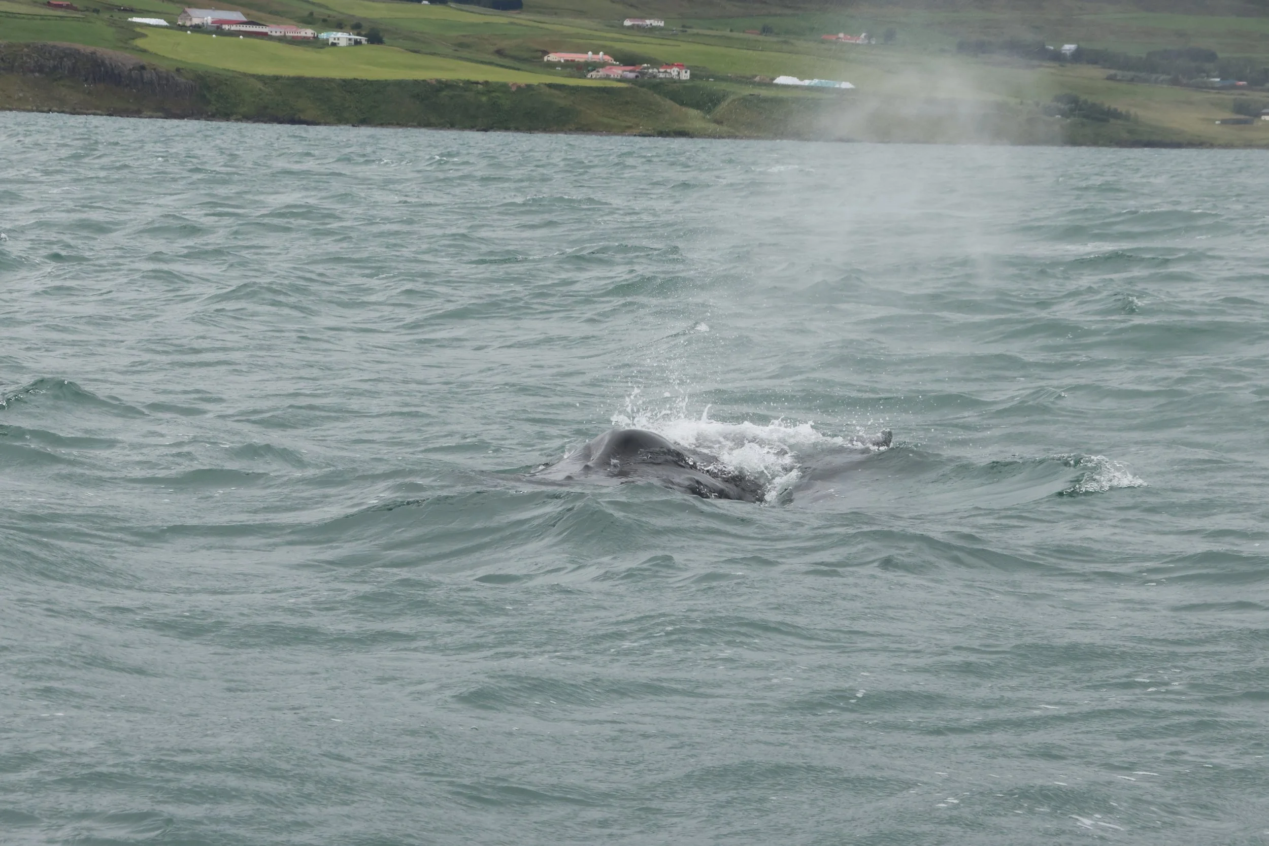 2024_08_19_1400_SOL_GISELA (17).JPG