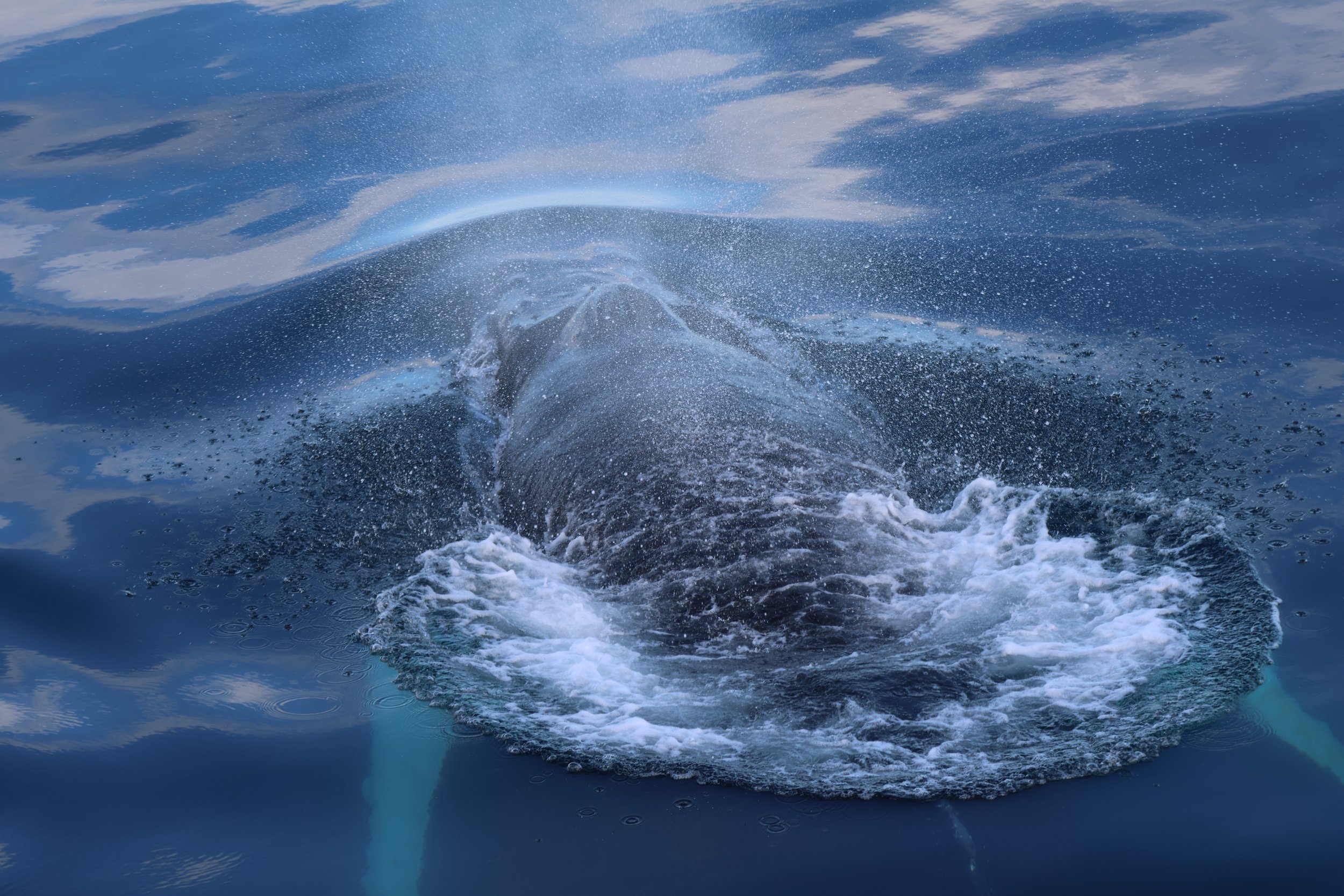 2025_04_26_0900_HOL_Lenka (70).JPG