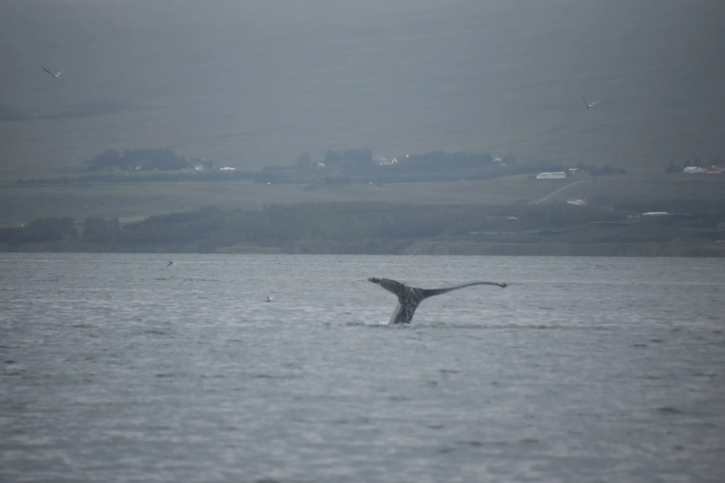 2025_07_24_1000_SOL_SERGIO (14).JPG