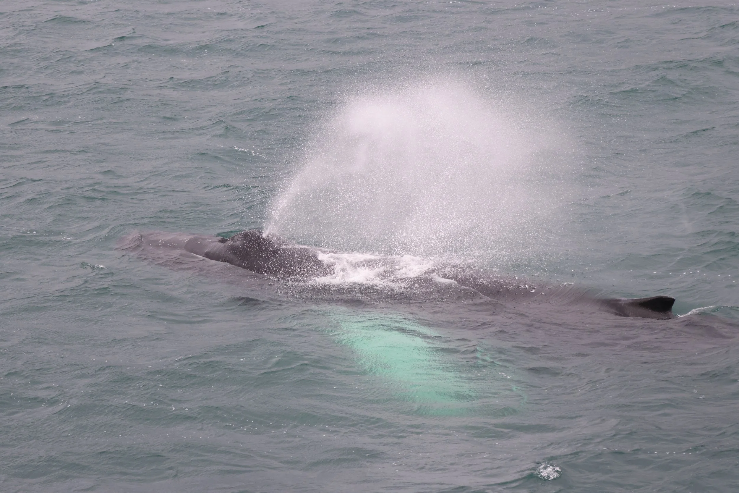 2025_08_07_1700_HOL_Lenka (53).JPG