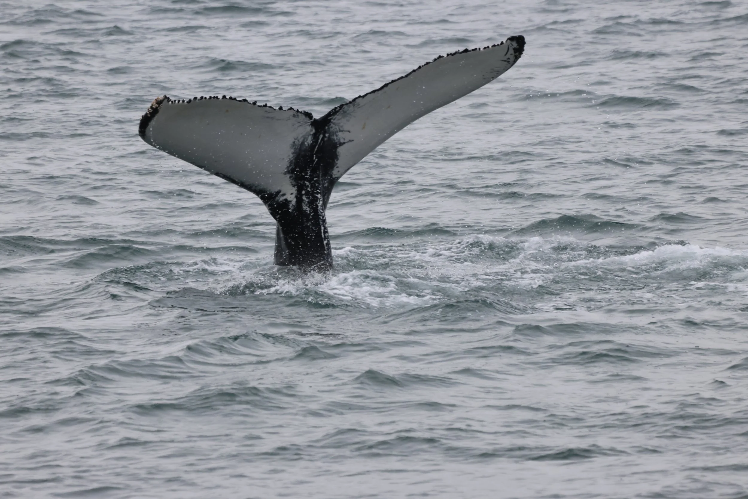 2025_08_10_0900_KON_YOANN (39).JPG