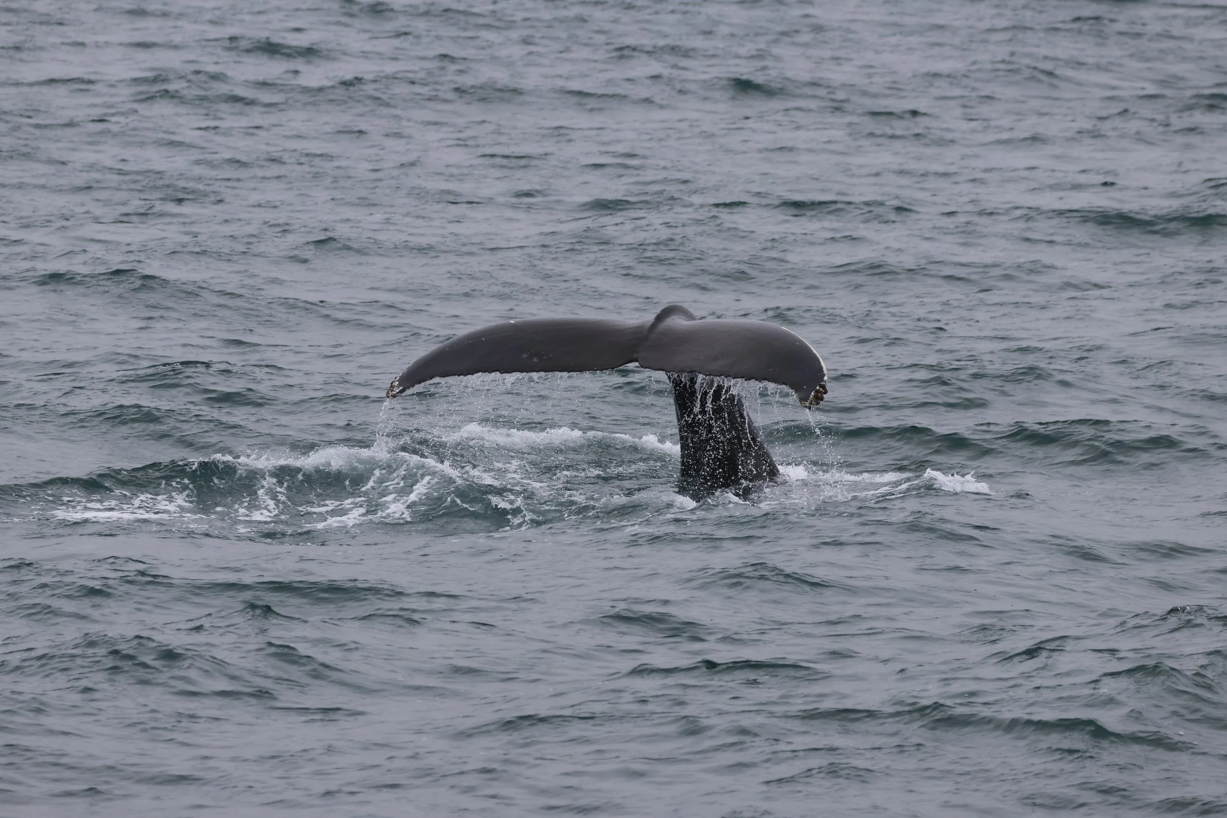 2025_08_10_0900_KON_YOANN (54).JPG