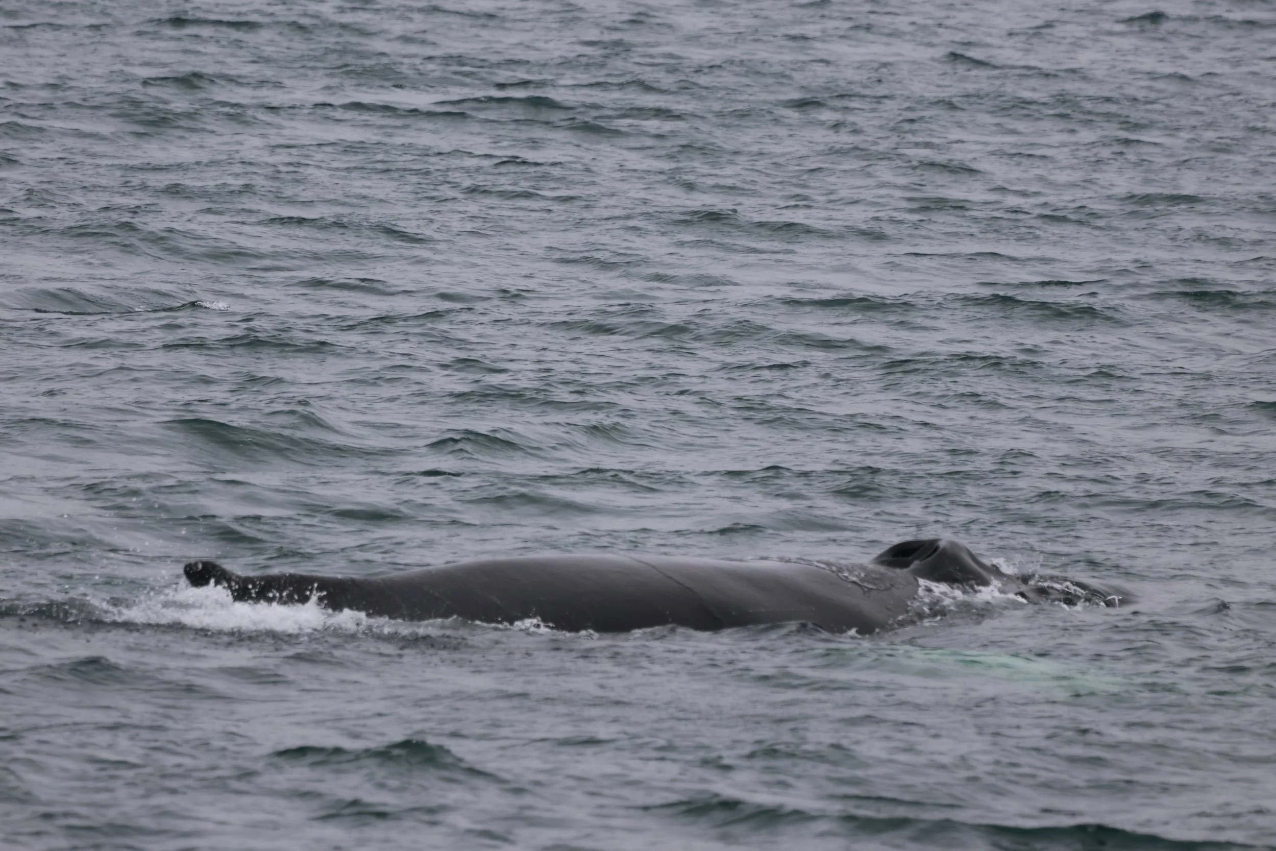 2025_08_10_0900_KON_YOANN (11).JPG