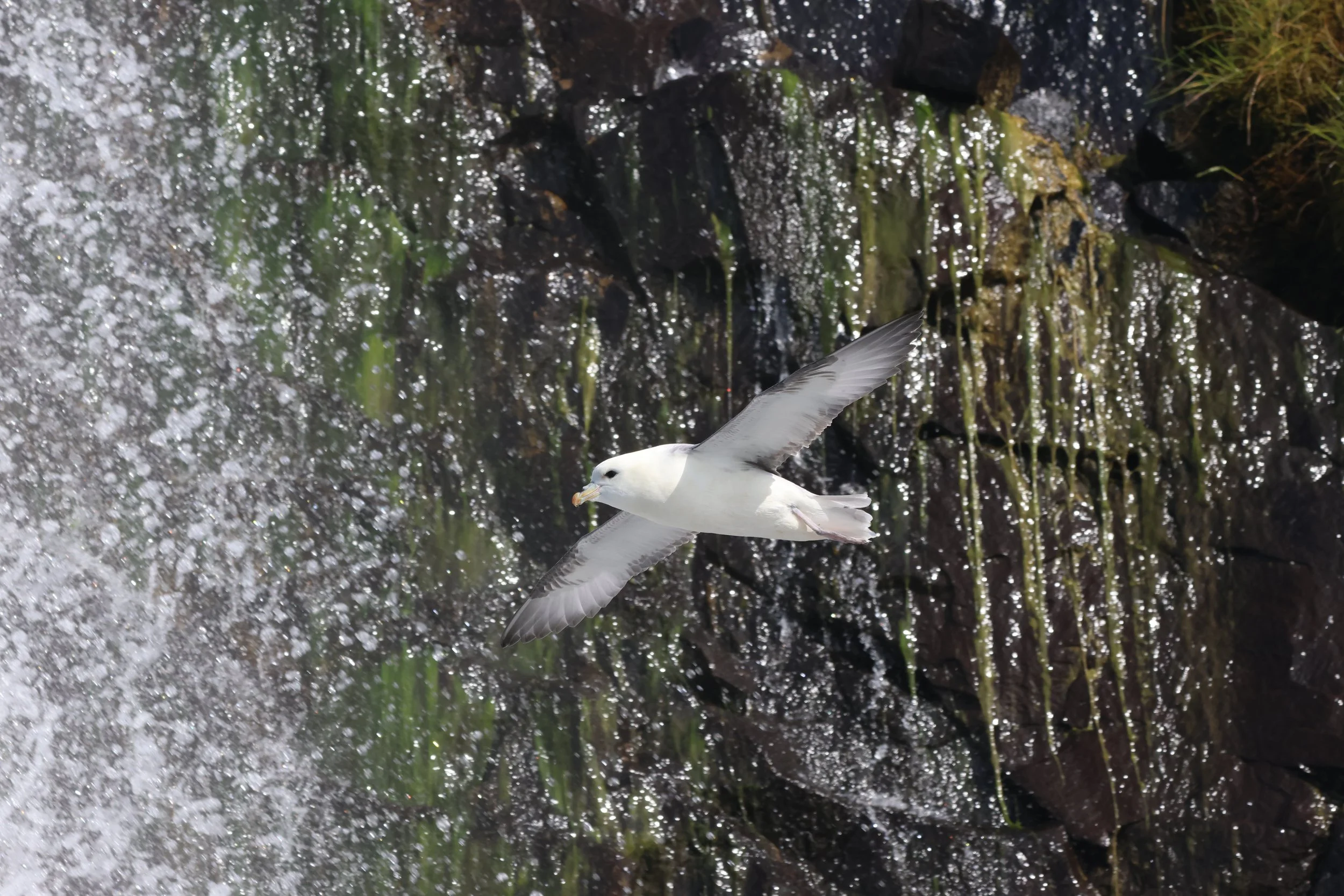 2025_08_11_1400_SOL_GISELA (65).JPG