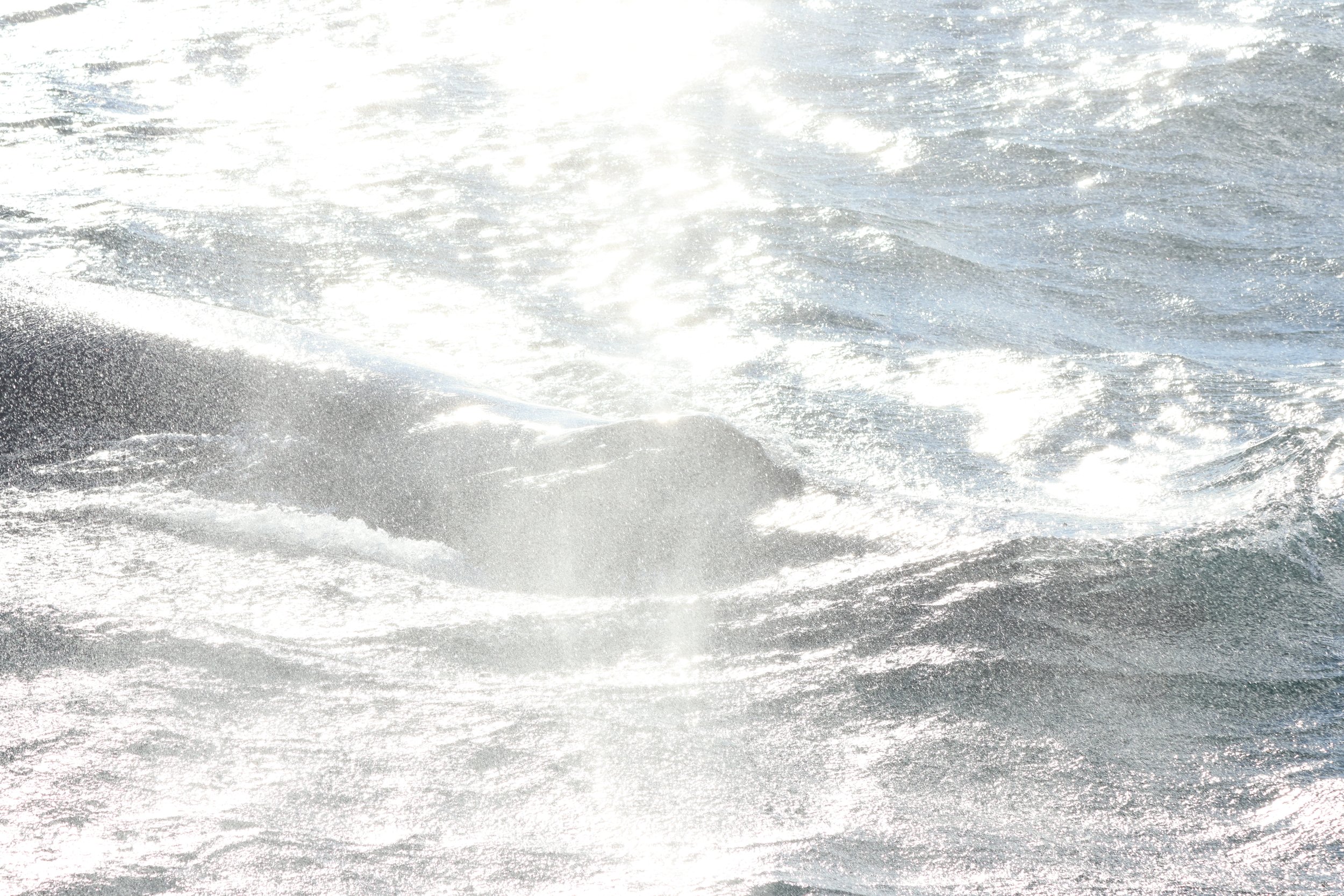 2025_09_25_0900_KON_GISELA (93).JPG