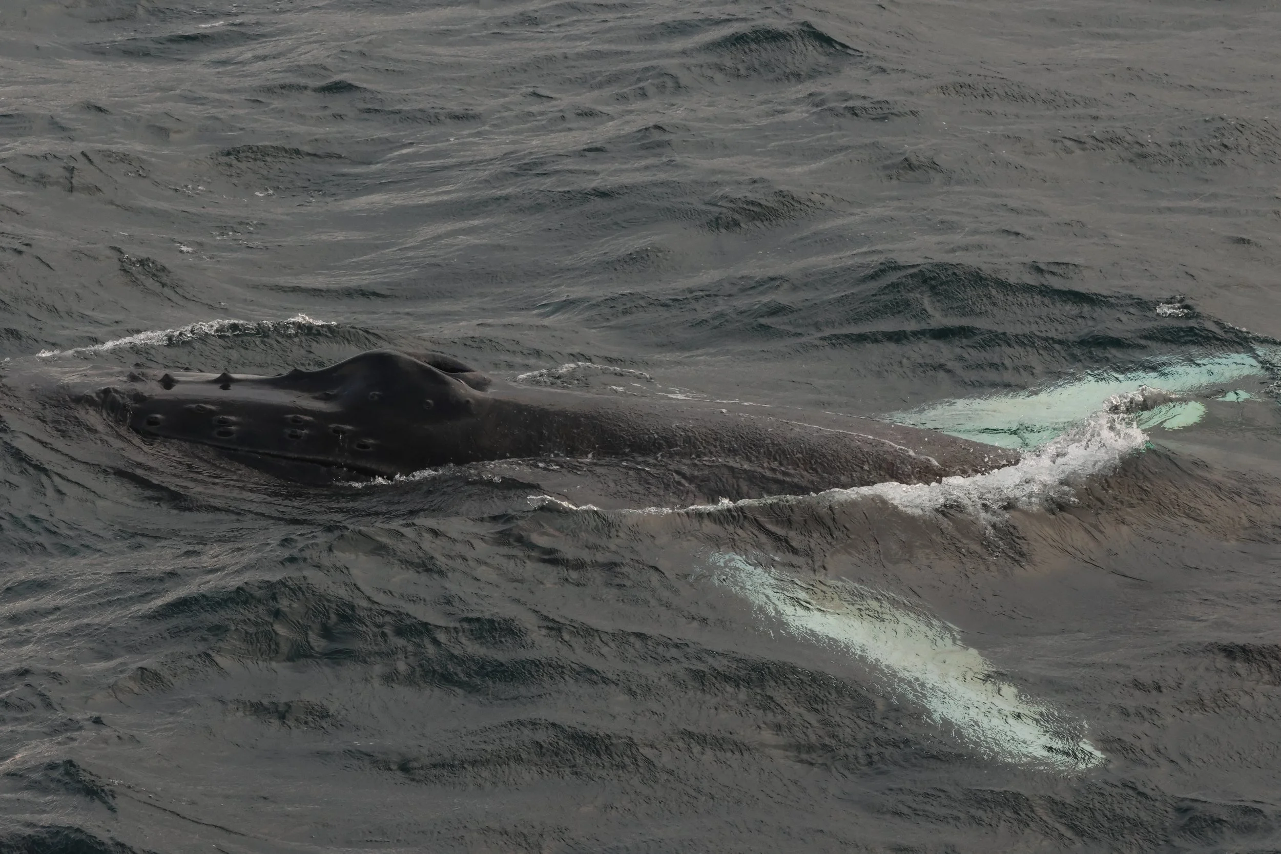 Wednesday, 8 October 2025