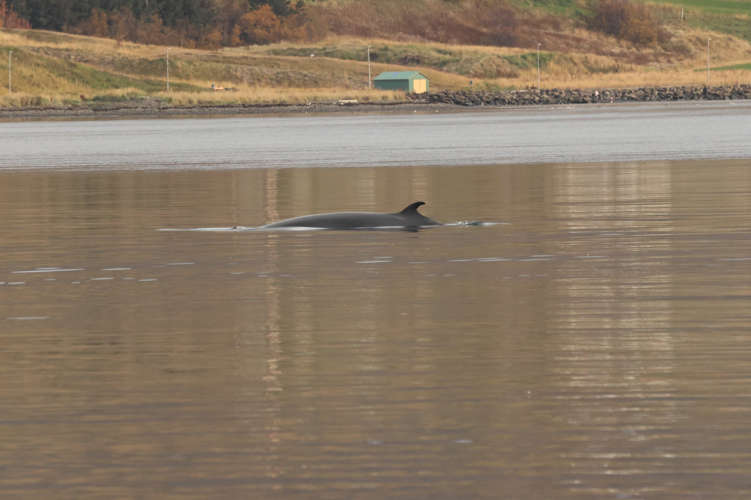 2025_10_11_1300_KON_GISELA (67).JPG