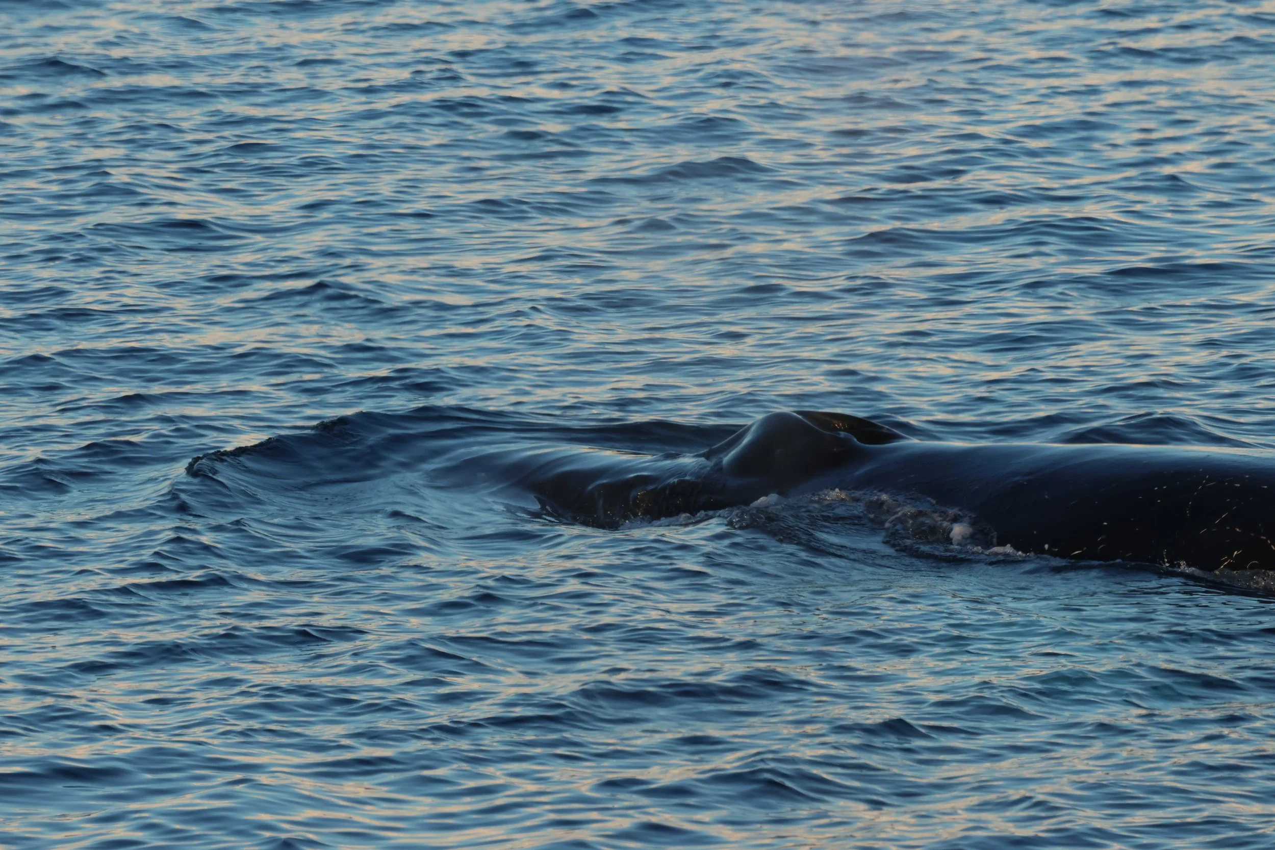 2025_11_13_1300_HOL_GISELA (45).JPG