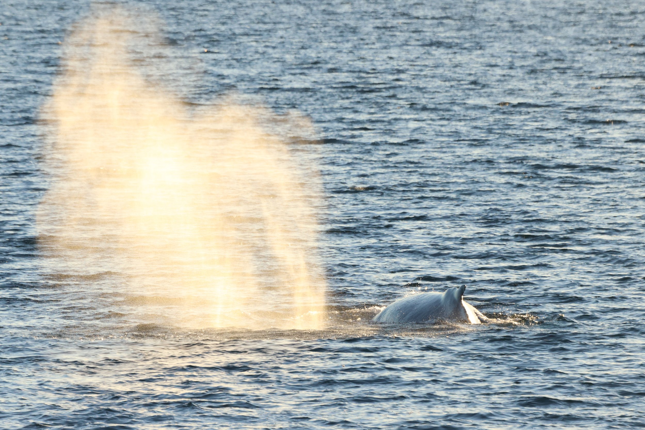 Sunday, 16 November 2025