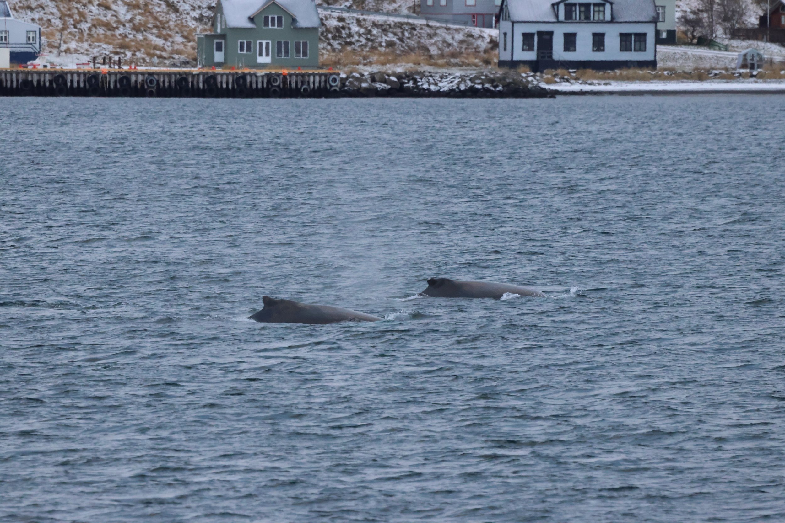 2025_11_18_1100_KON_GISELA (64).JPG