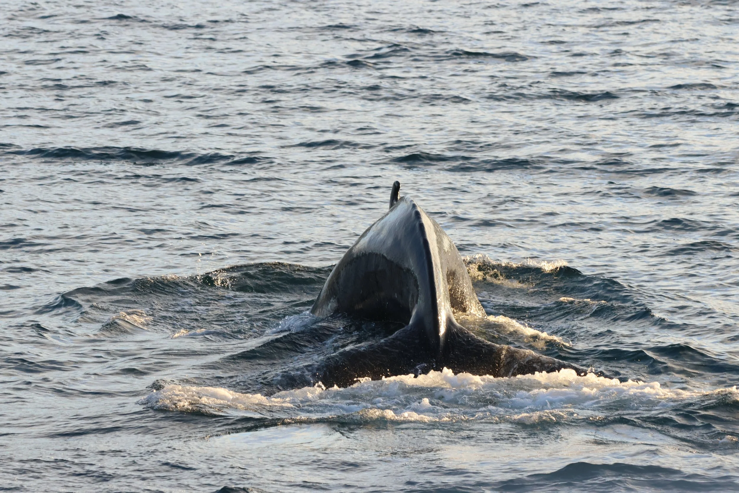 2025_11_22_1100_KON_GISELA (141).JPG