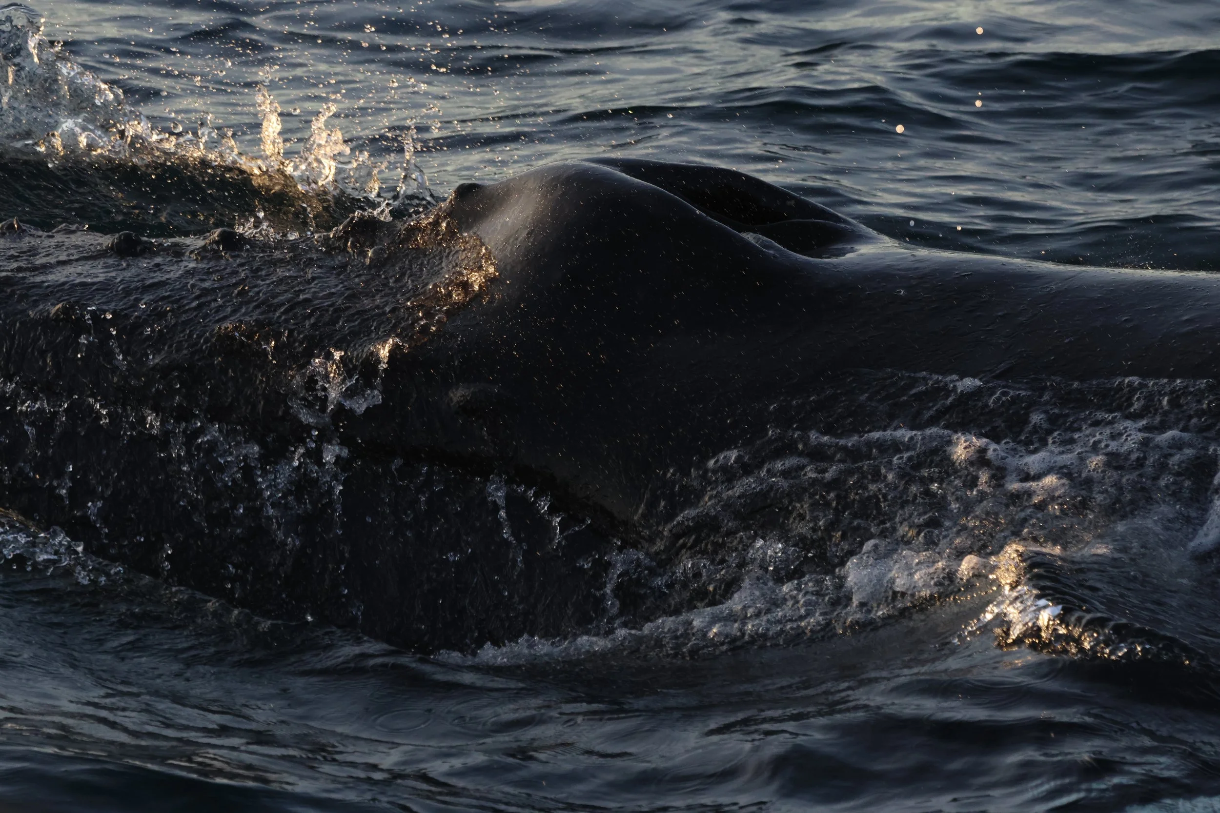 2025_11_23_1100_KON_GISELA (28).JPG