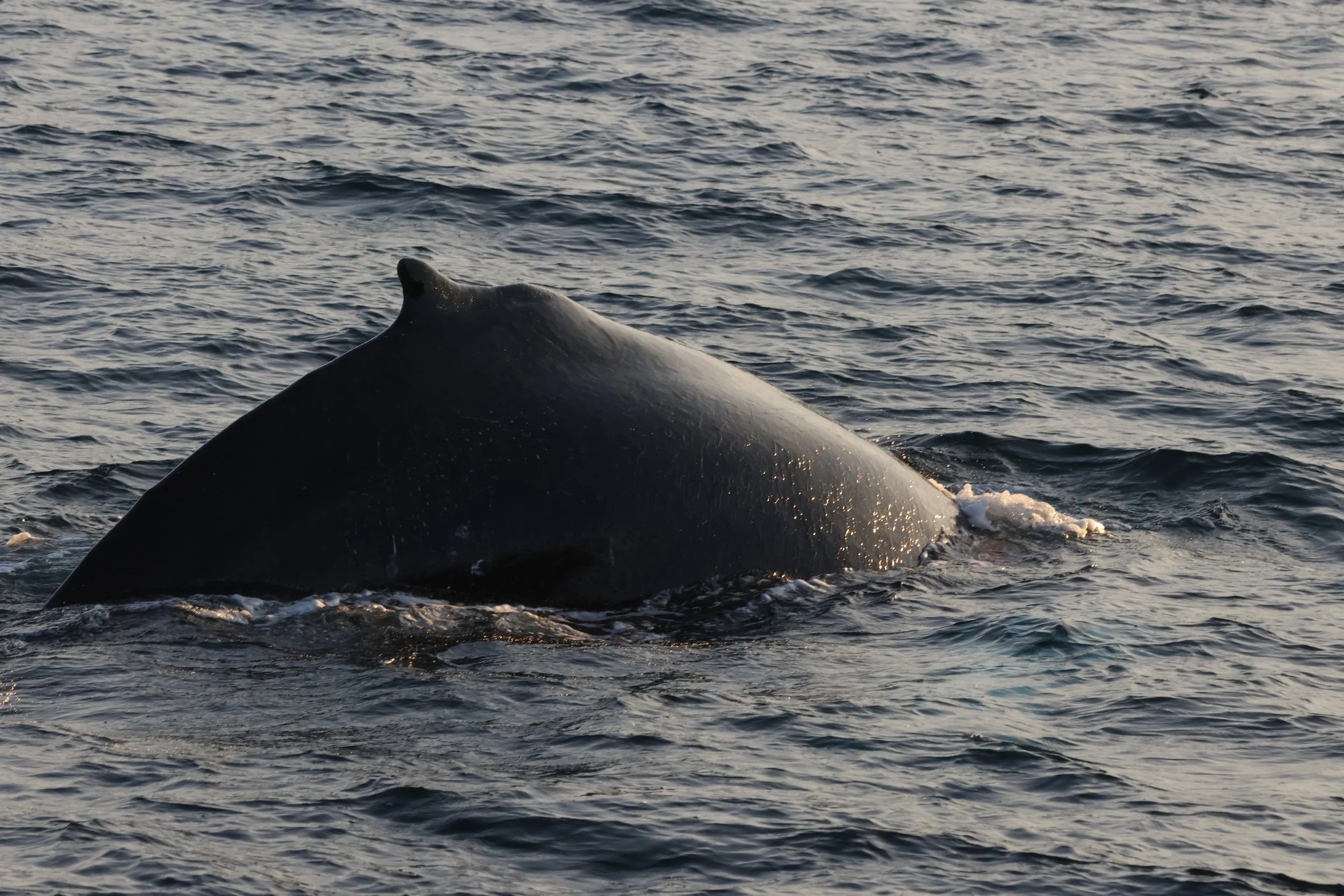 2025_11_23_1100_KON_GISELA (34).JPG