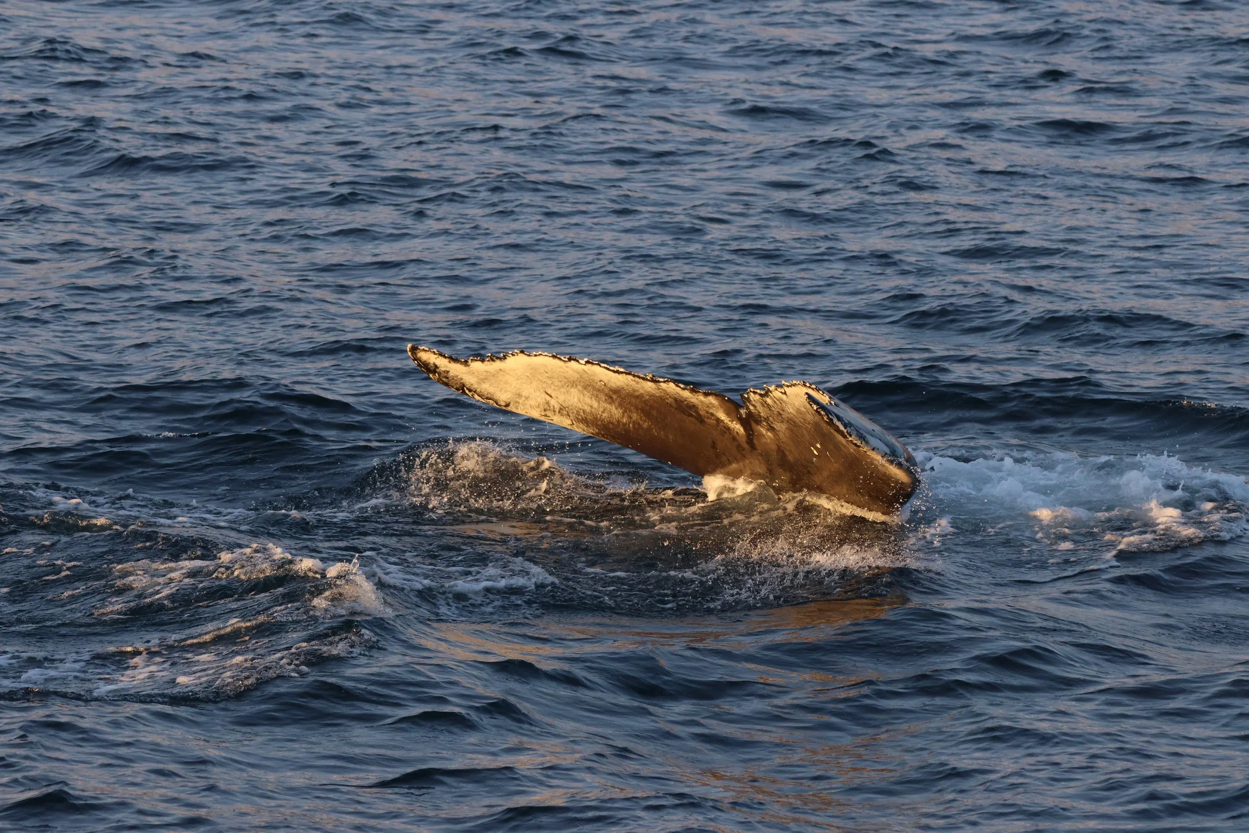 2025_11_23_1100_KON_GISELA (8).JPG