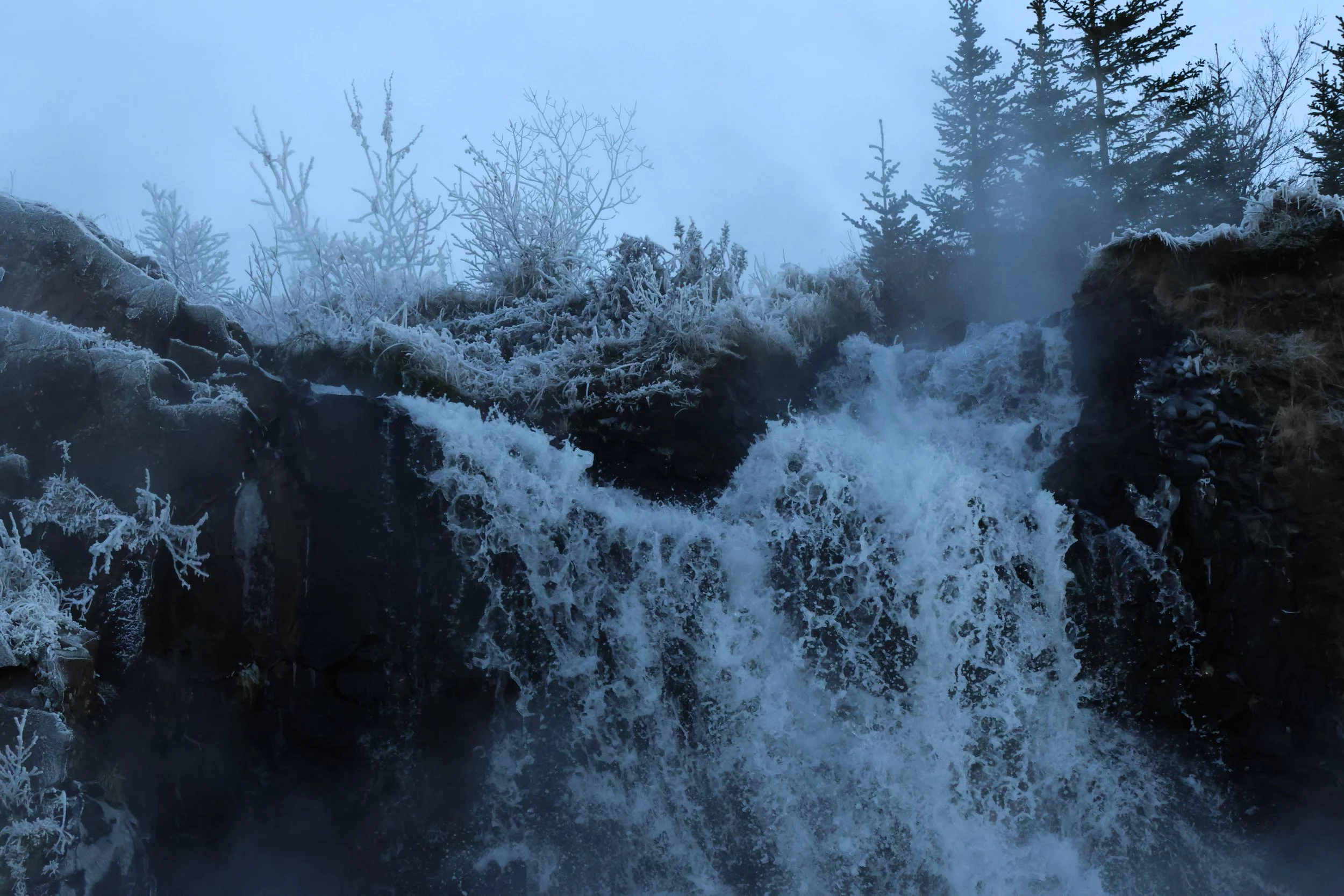 2025_11_24_1100_KON_GISELA (2).JPG